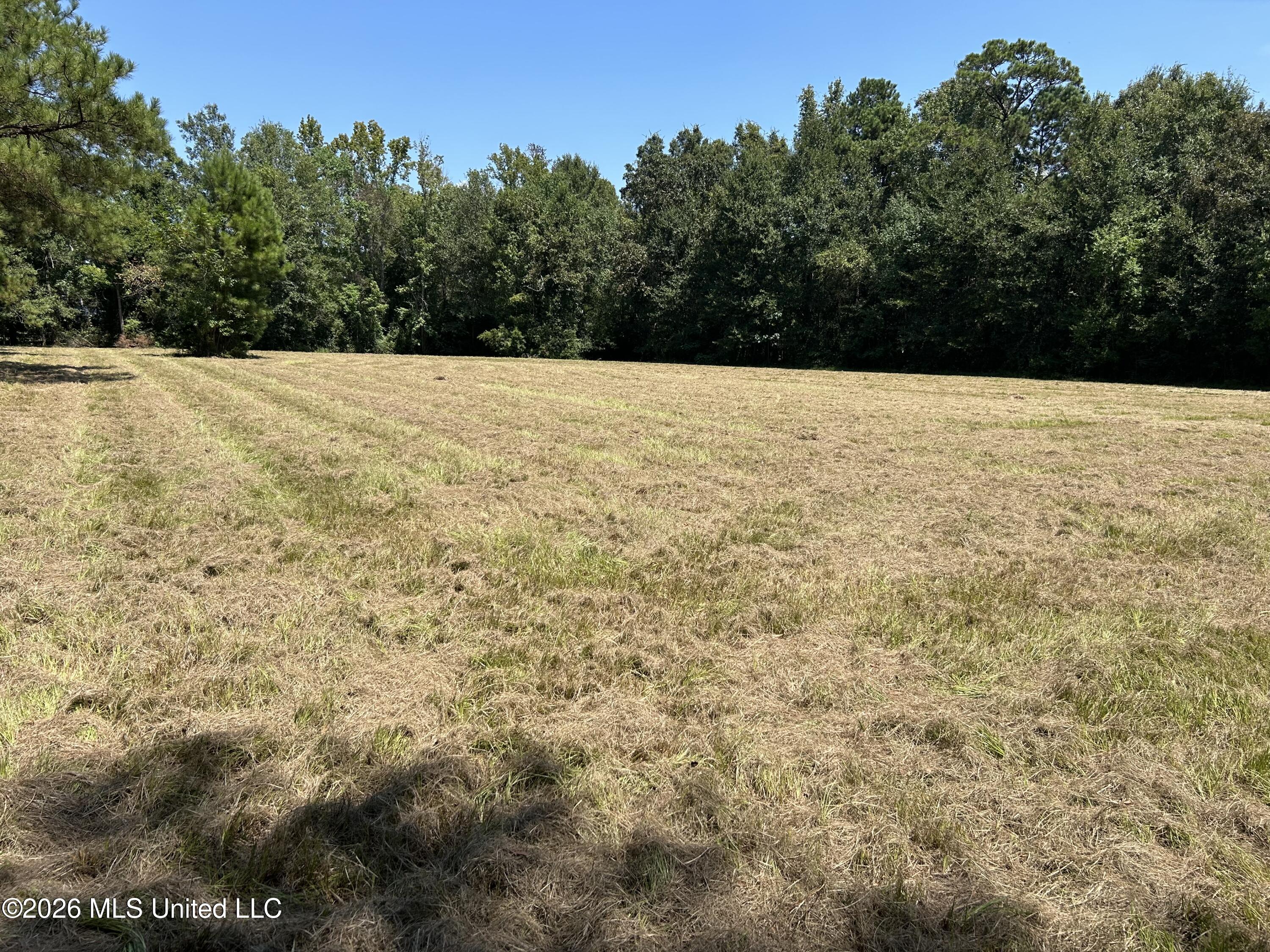 Marcus Mitchell Road Property Photo 11