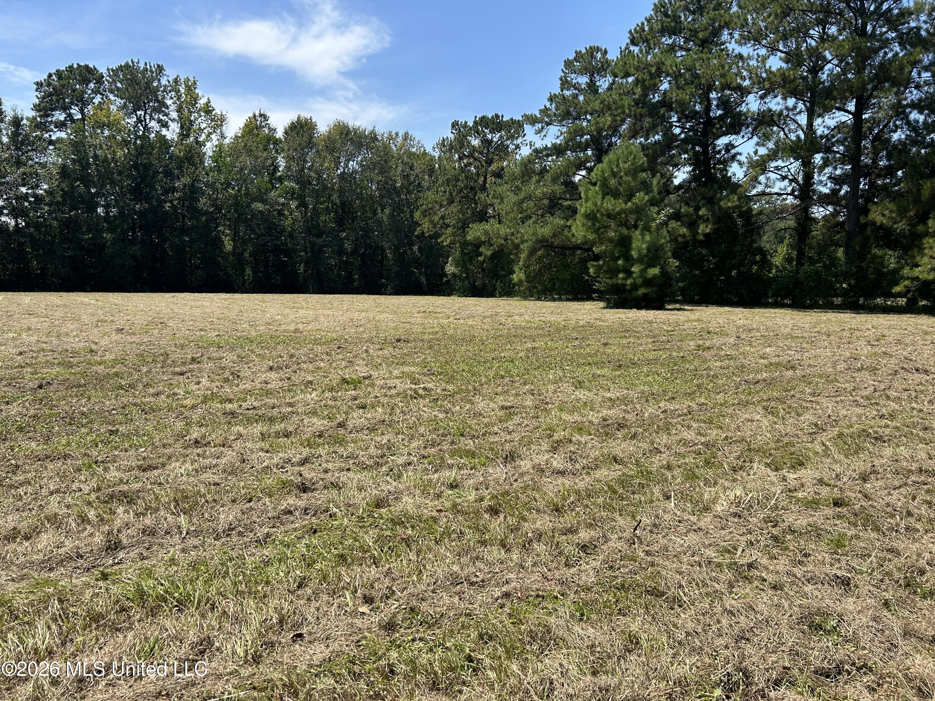 Marcus Mitchell Road Property Photo 12