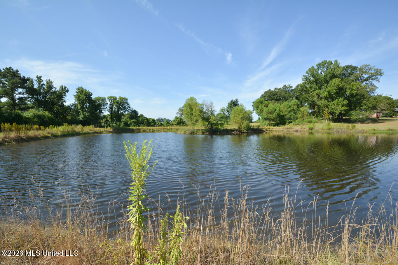 135 Cidero Road Property Photo 10