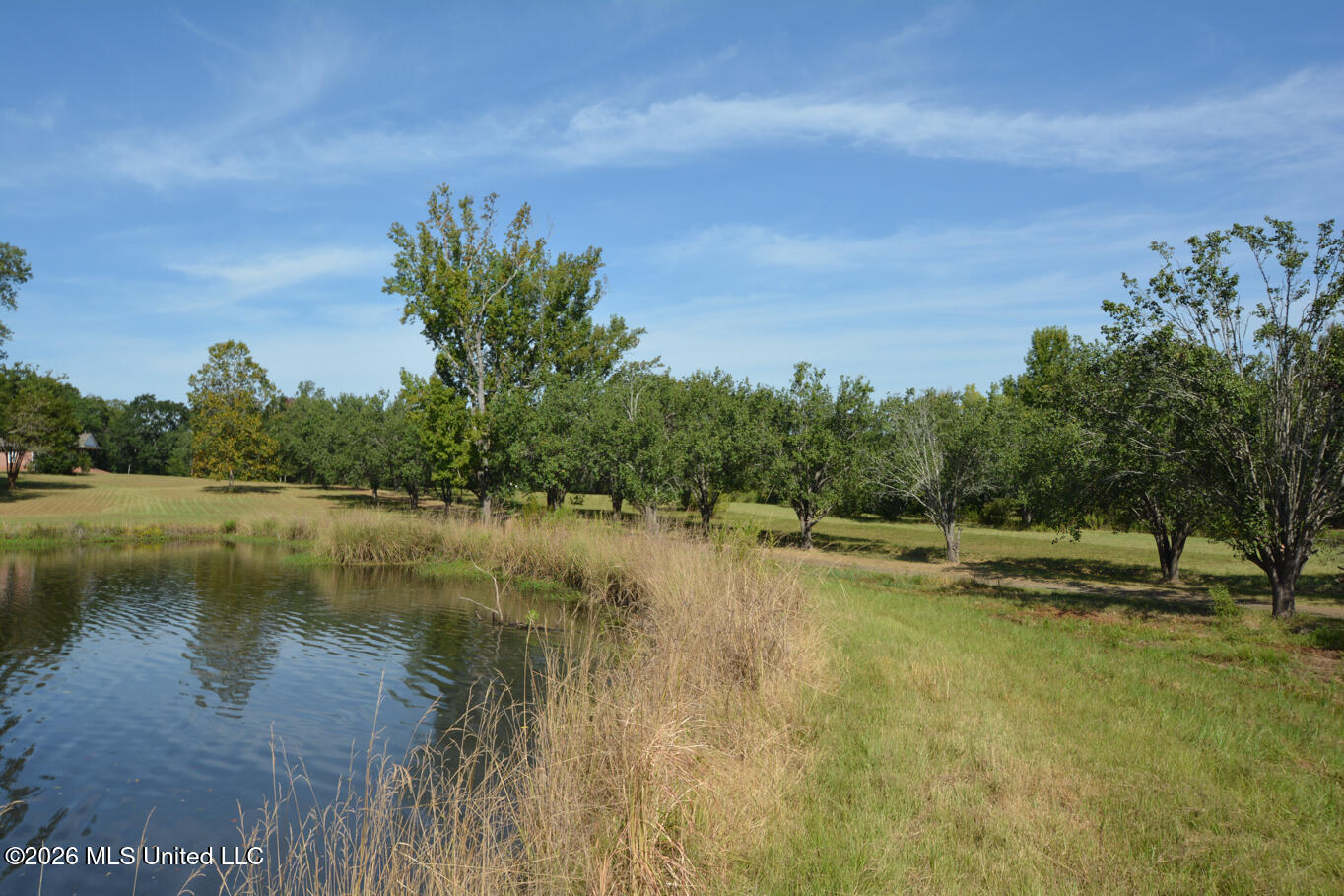 135 Cidero Road Property Photo 11