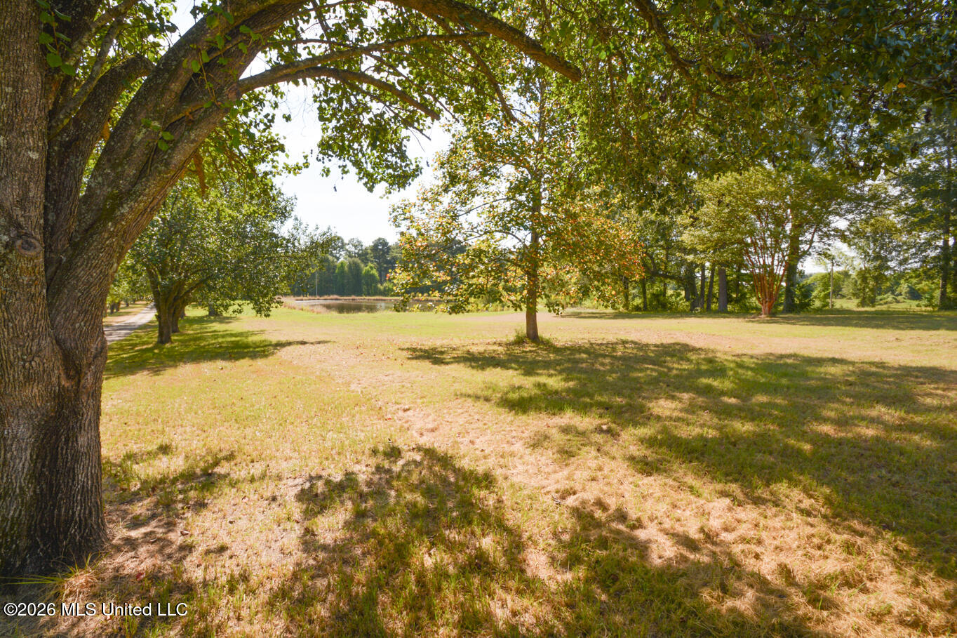 135 Cidero Road Property Photo 12