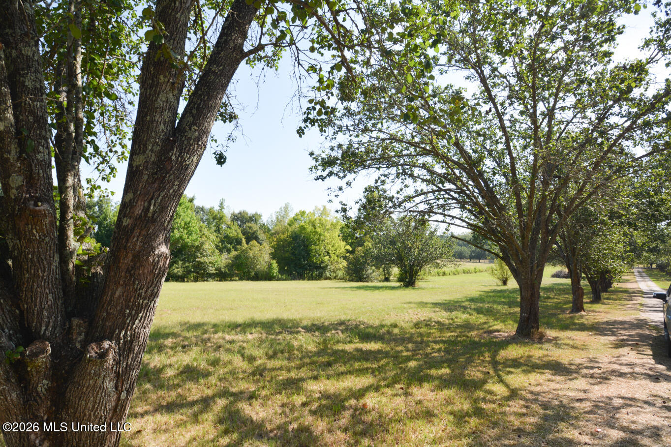 135 Cidero Road Property Photo 13