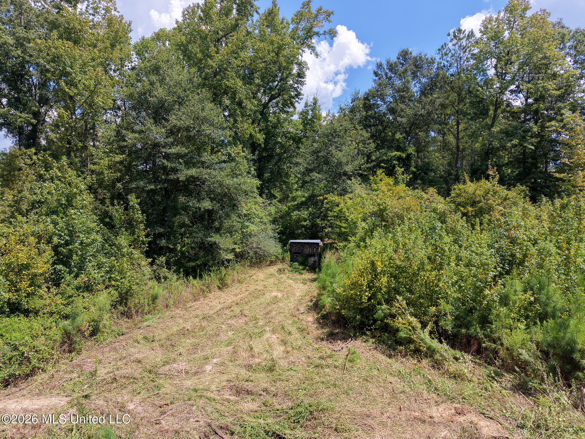 Slick Parker Road Property Photo 5