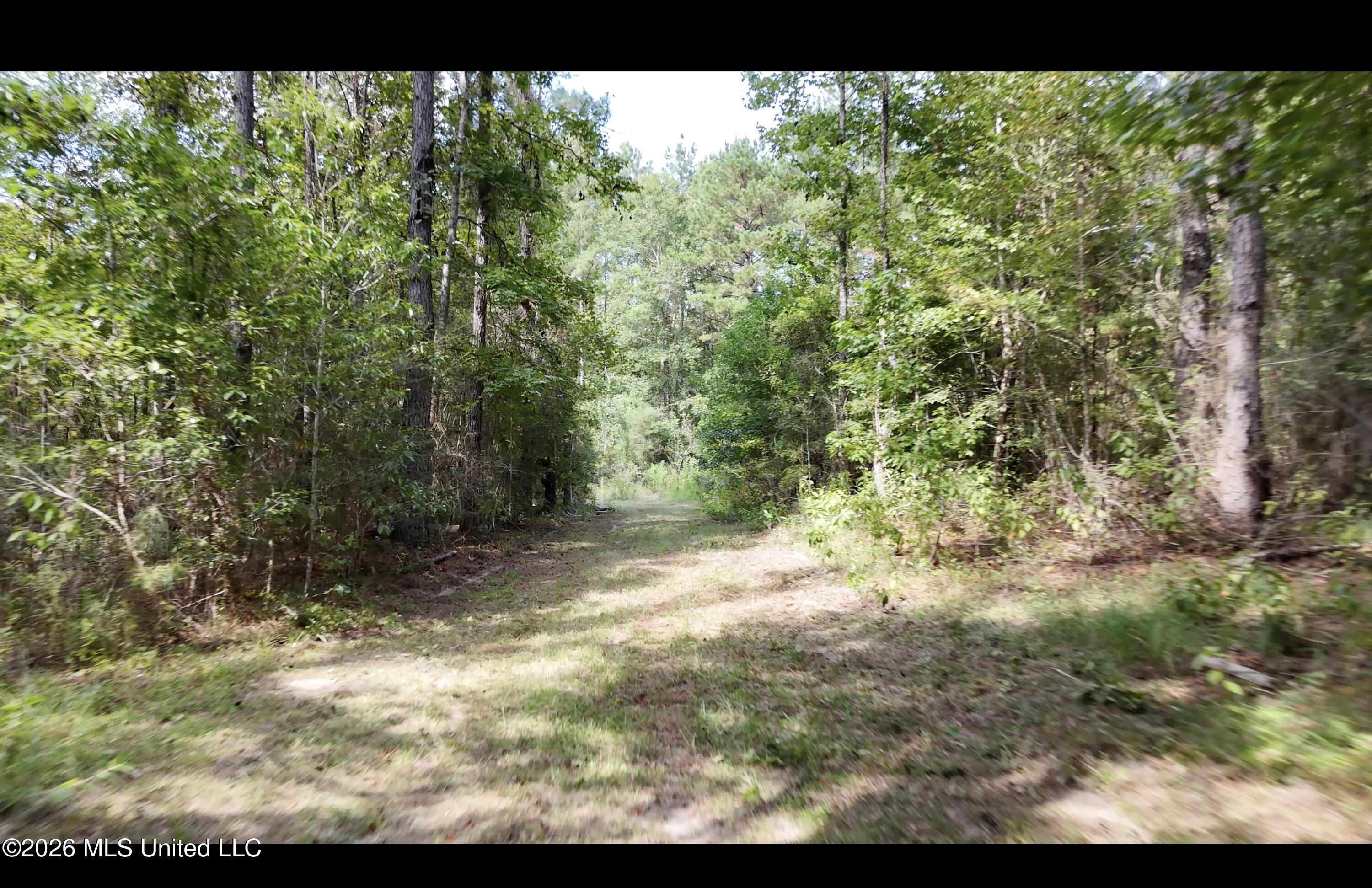 Mckay Road Property Photo 24