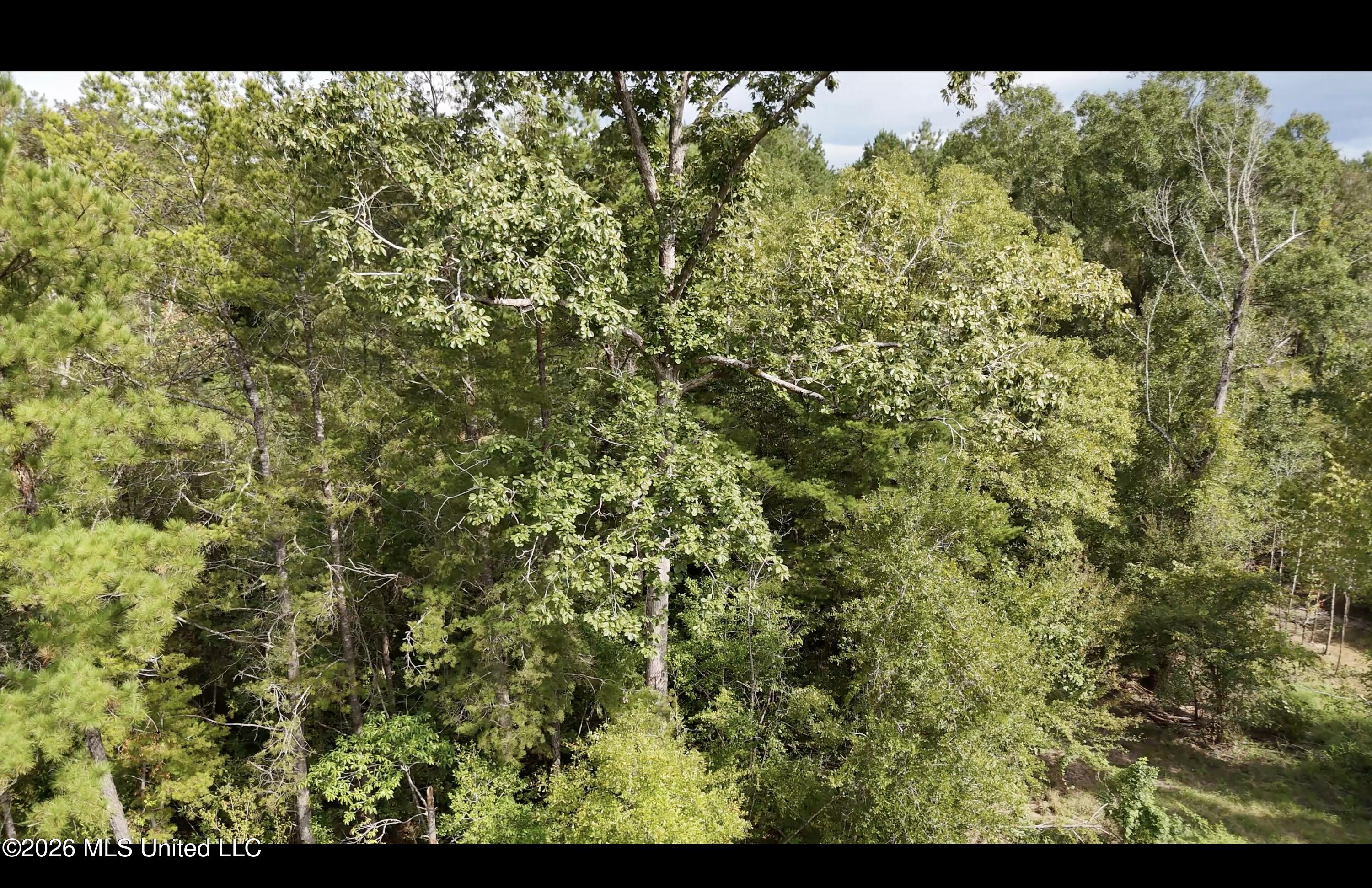 Mckay Road Property Photo 28