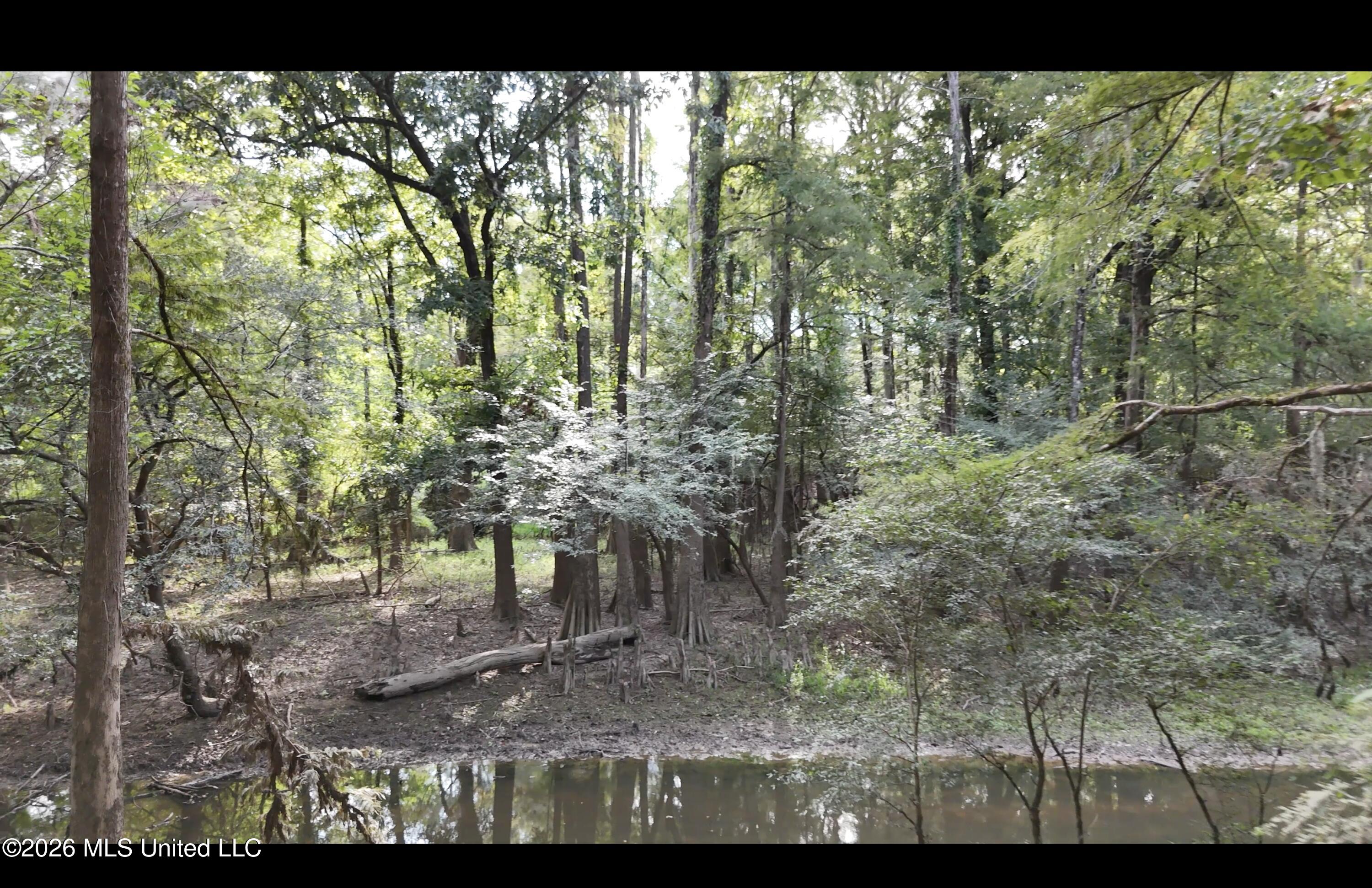 Mckay Road Property Photo 50