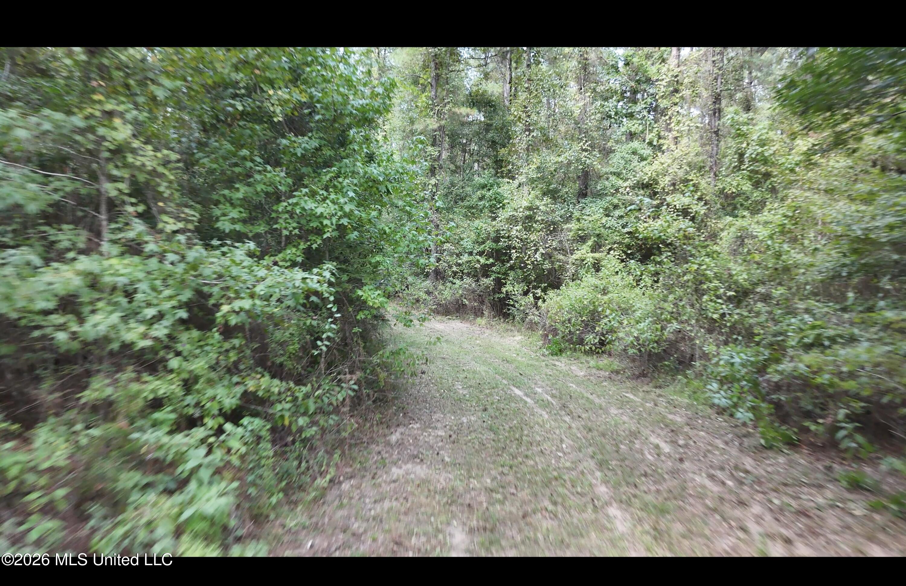 Mckay Road Property Photo 53