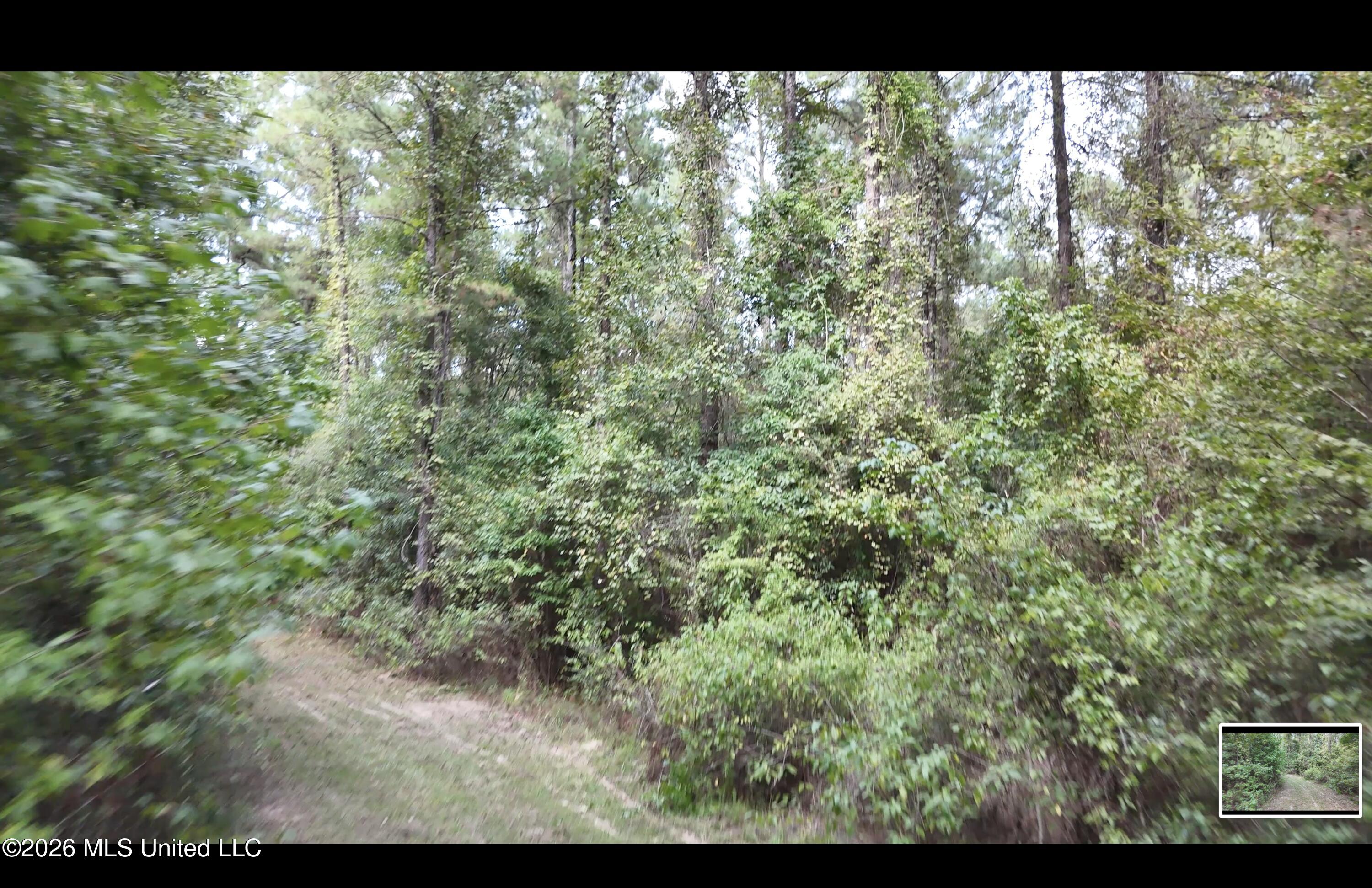 Mckay Road Property Photo 54