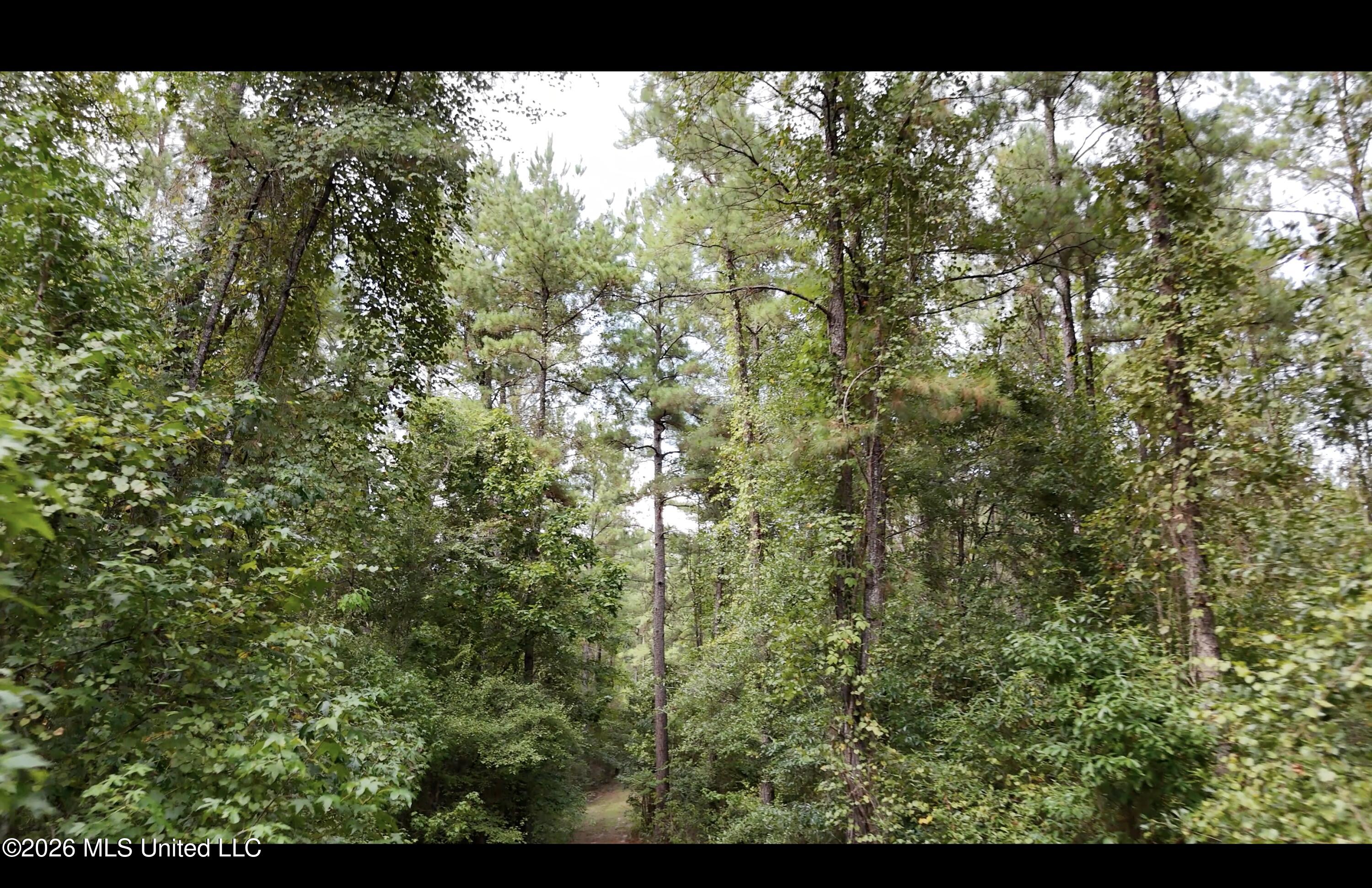Mckay Road Property Photo 55