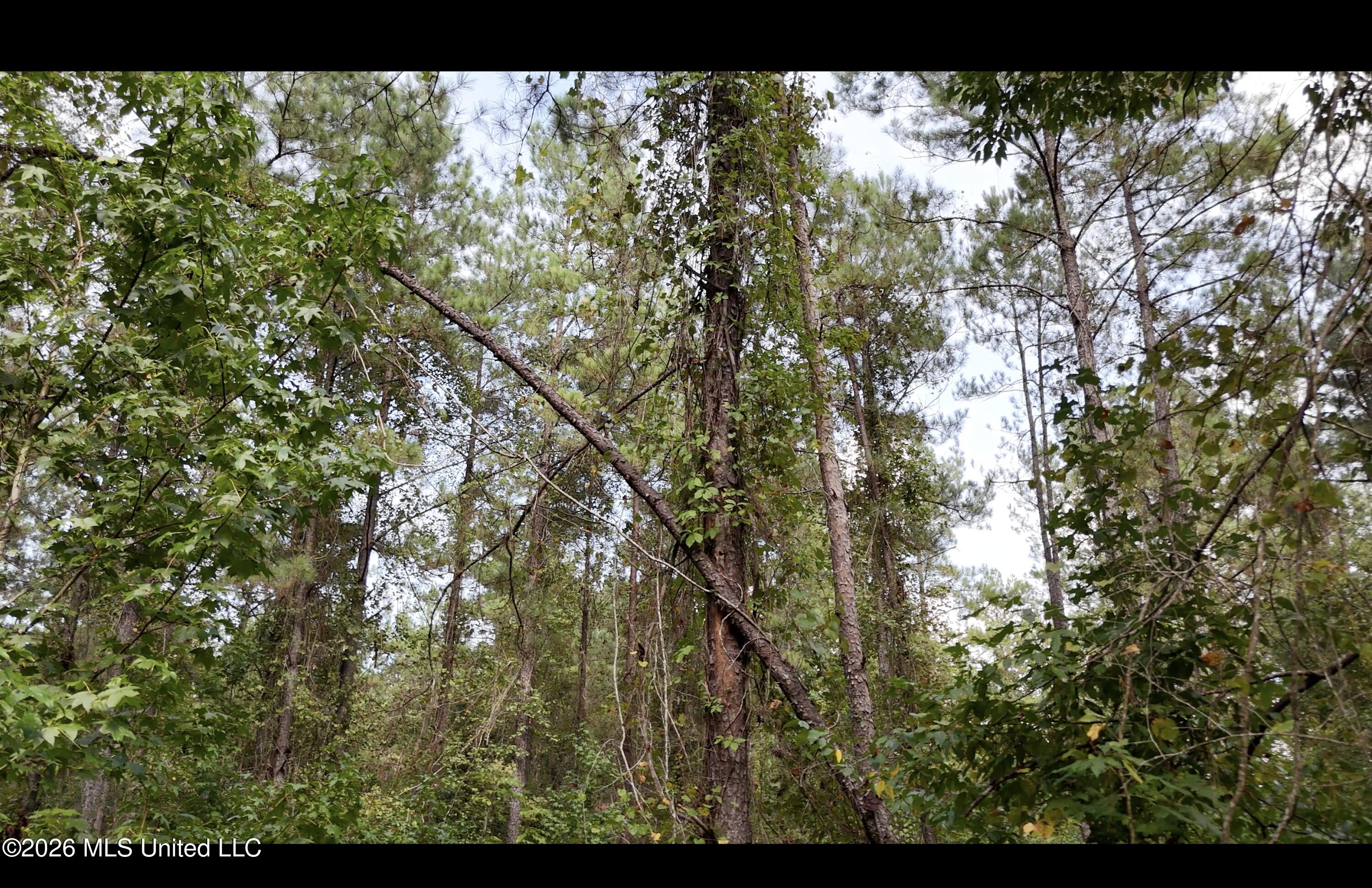 Mckay Road Property Photo 57
