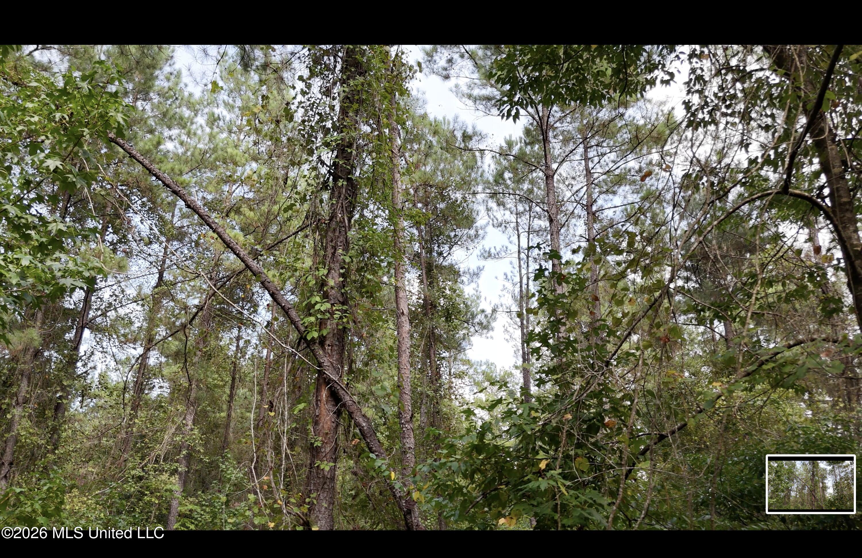 Mckay Road Property Photo 58