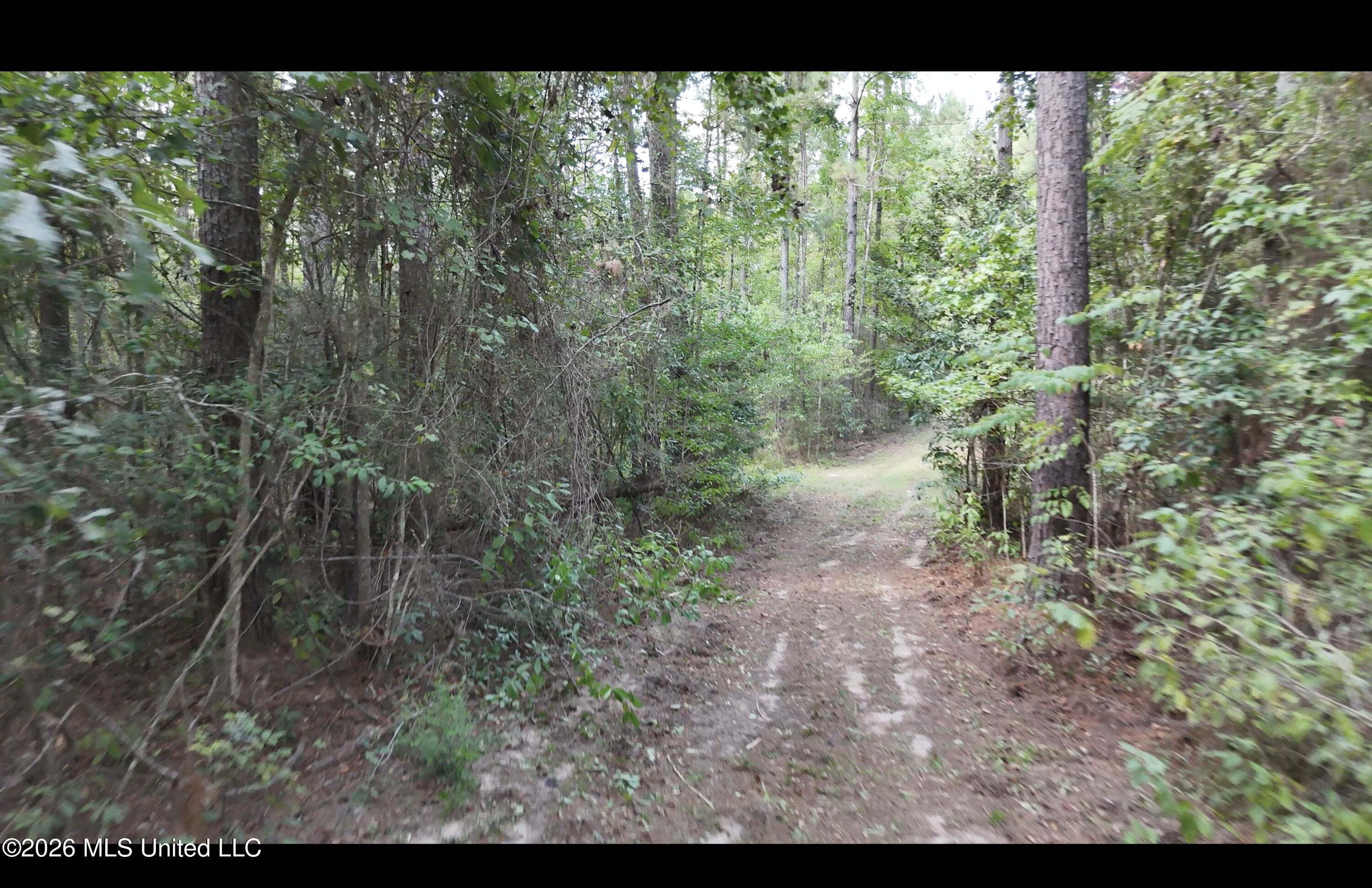 Mckay Road Property Photo 59