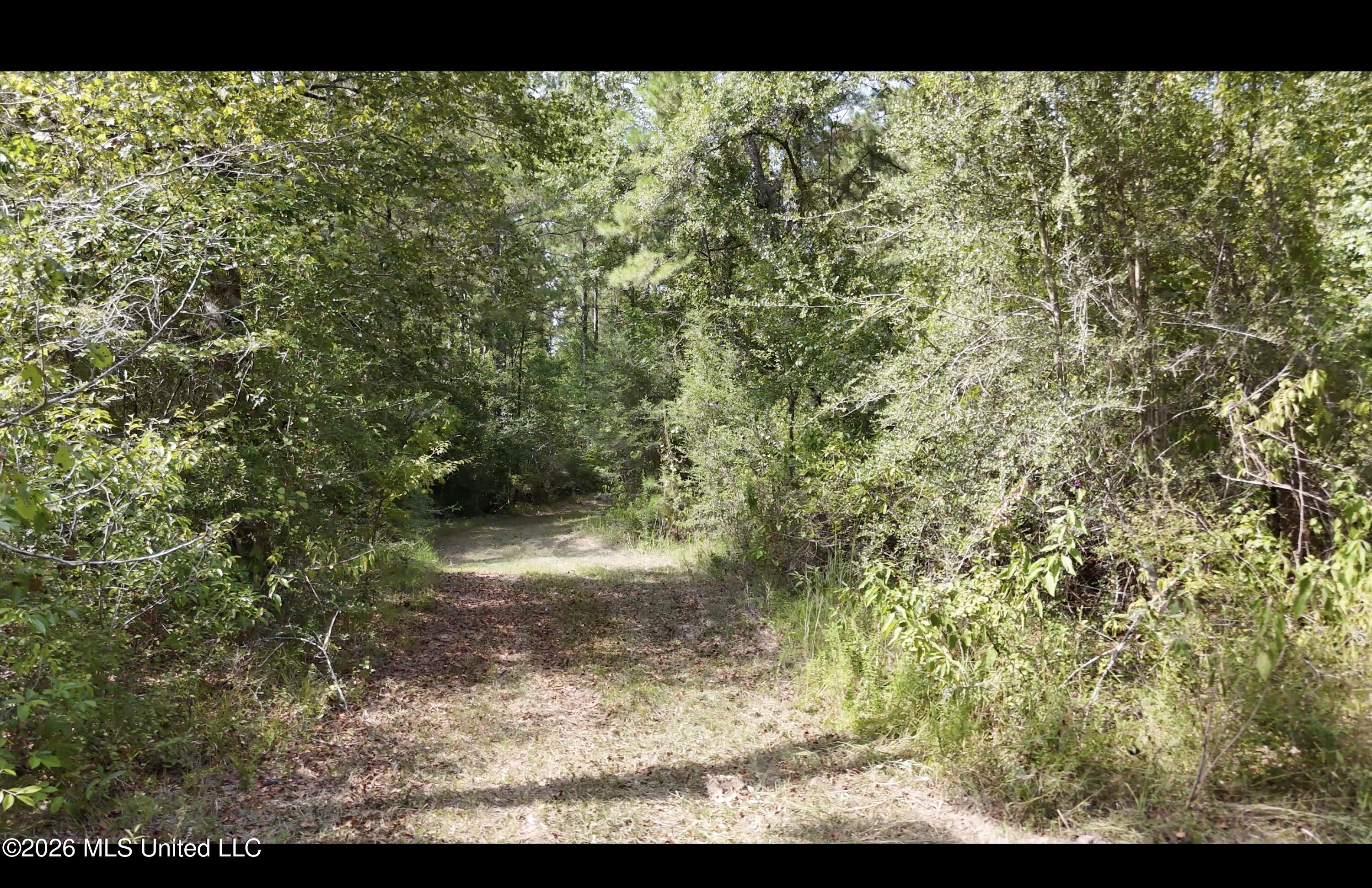 Mckay Road Property Photo 62