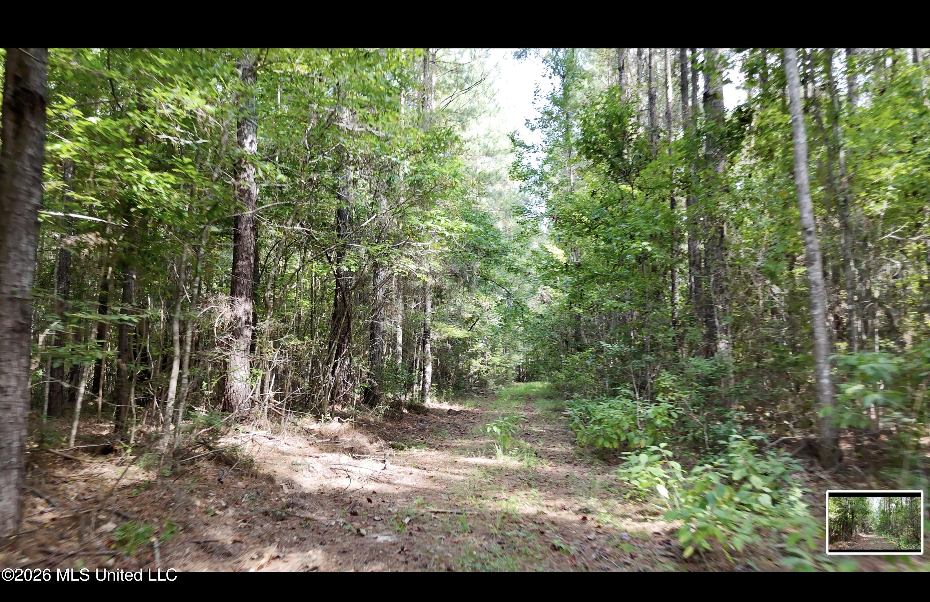 Mckay Road Property Photo 63