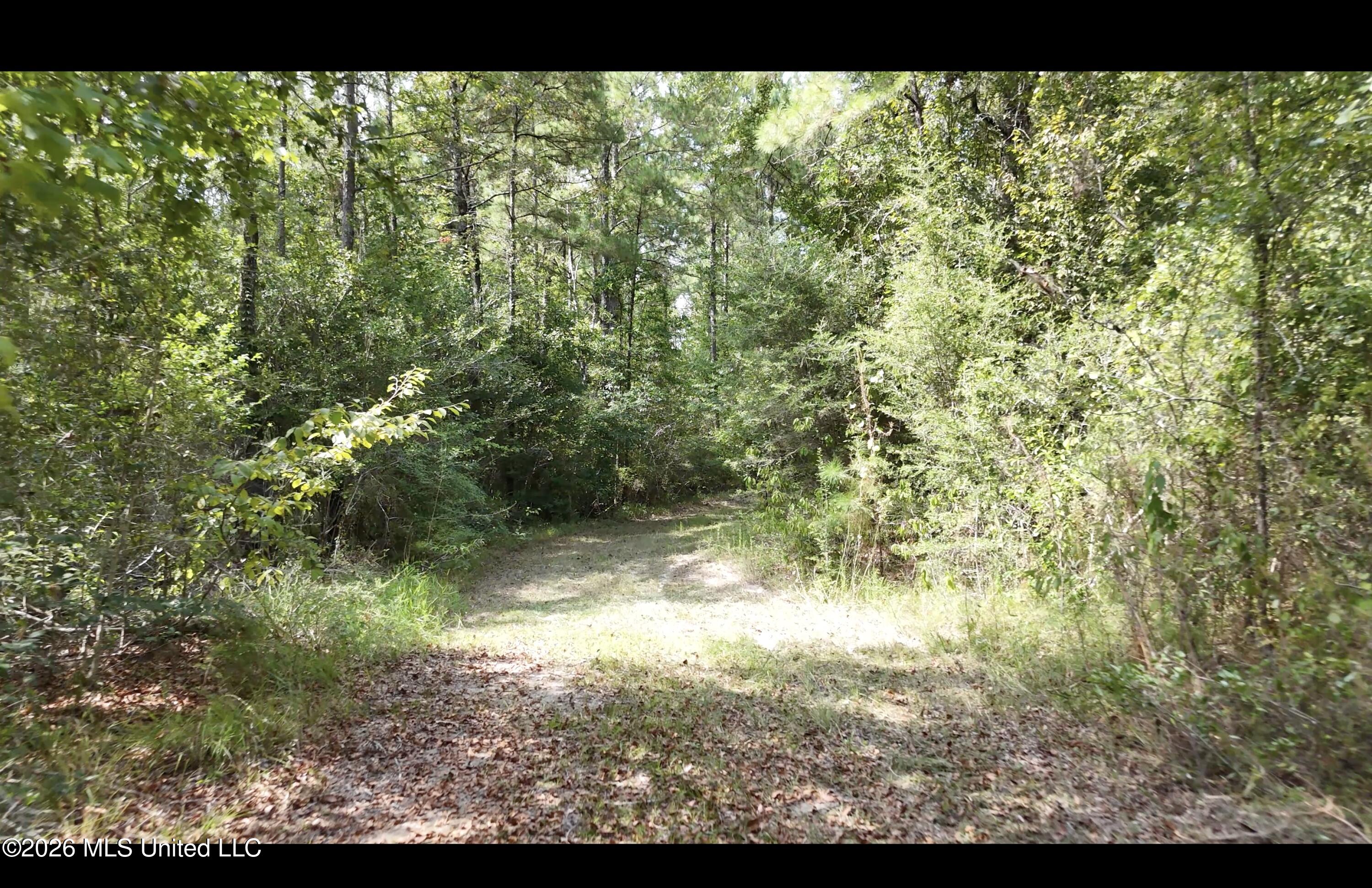 Mckay Road Property Photo 64