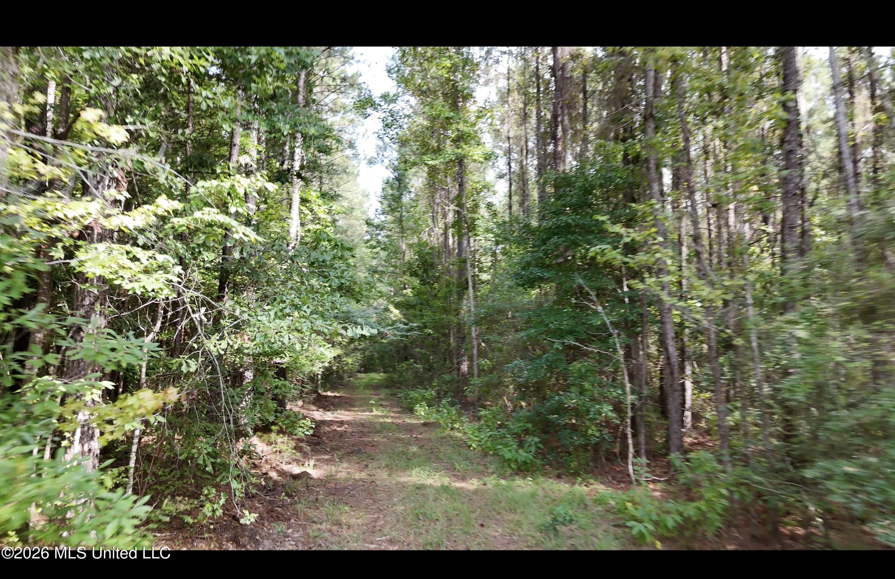 Mckay Road Property Photo 69