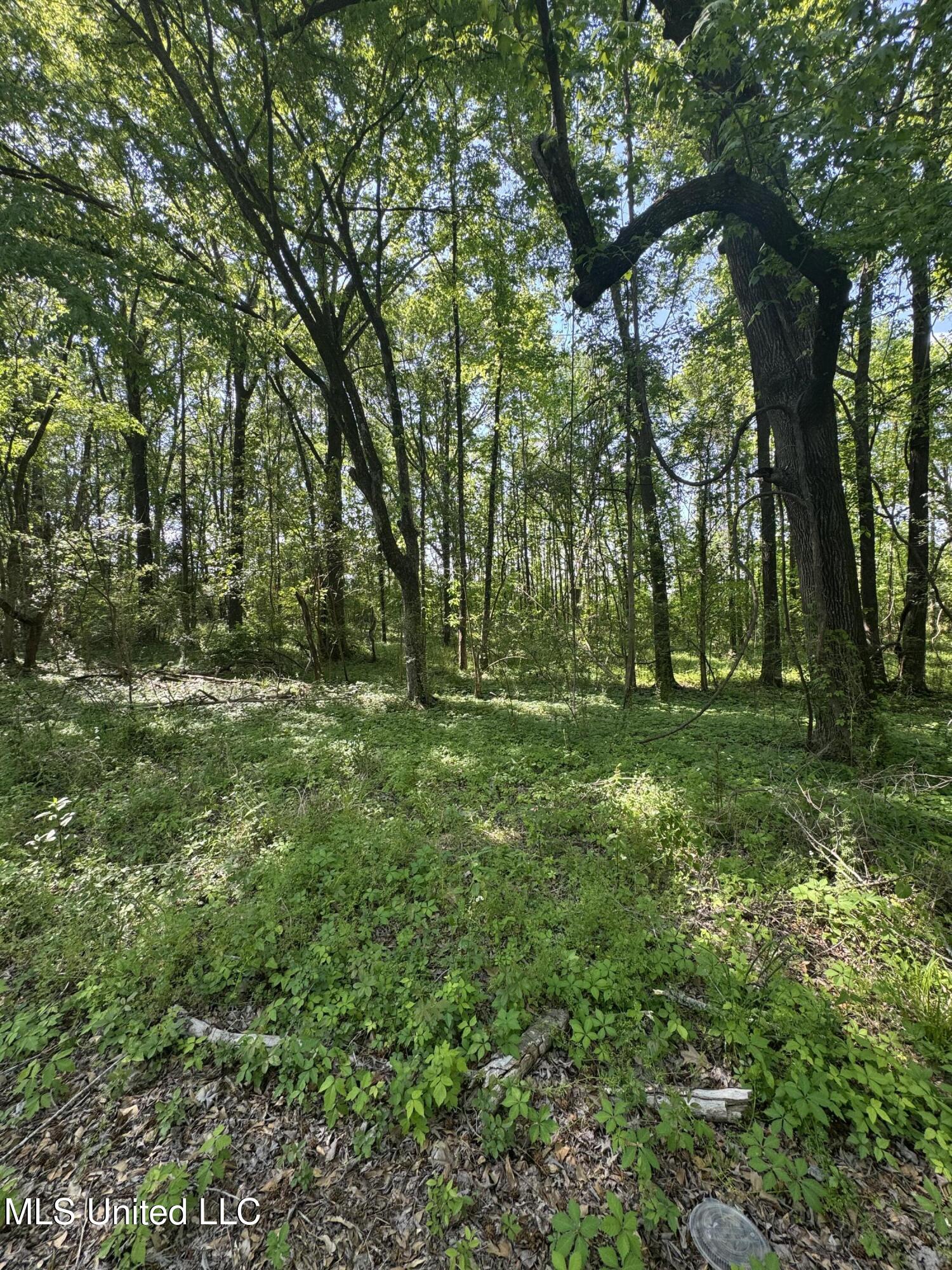 Old Hwy 471 Property Photo 2