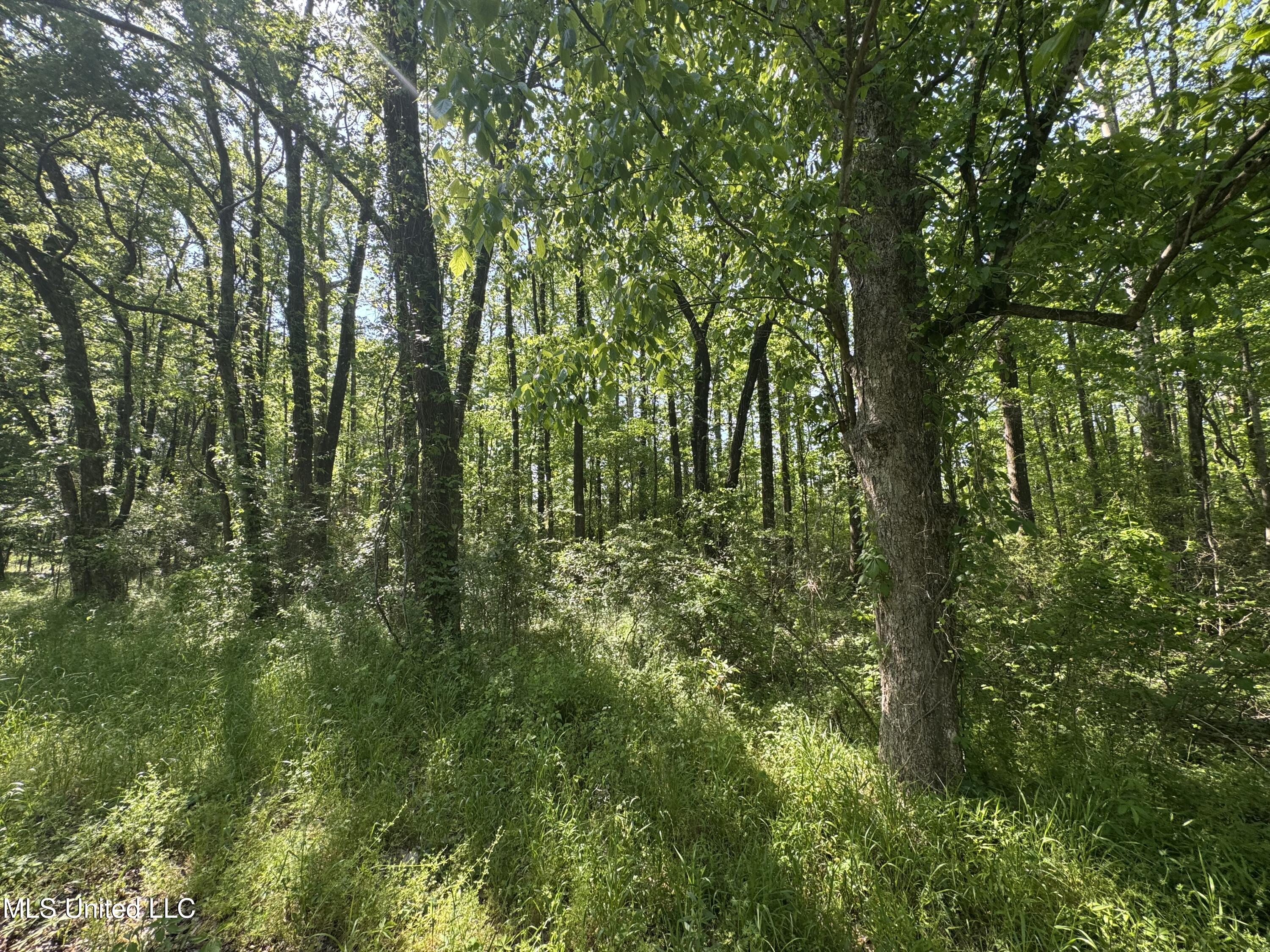 Old Hwy 471 Property Photo 3