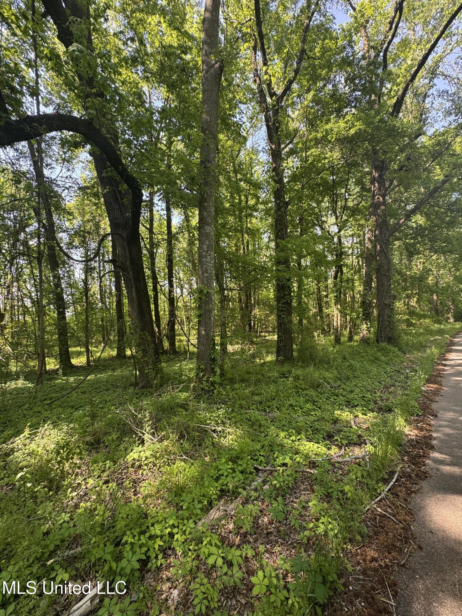 Old Hwy 471 Property Photo 4