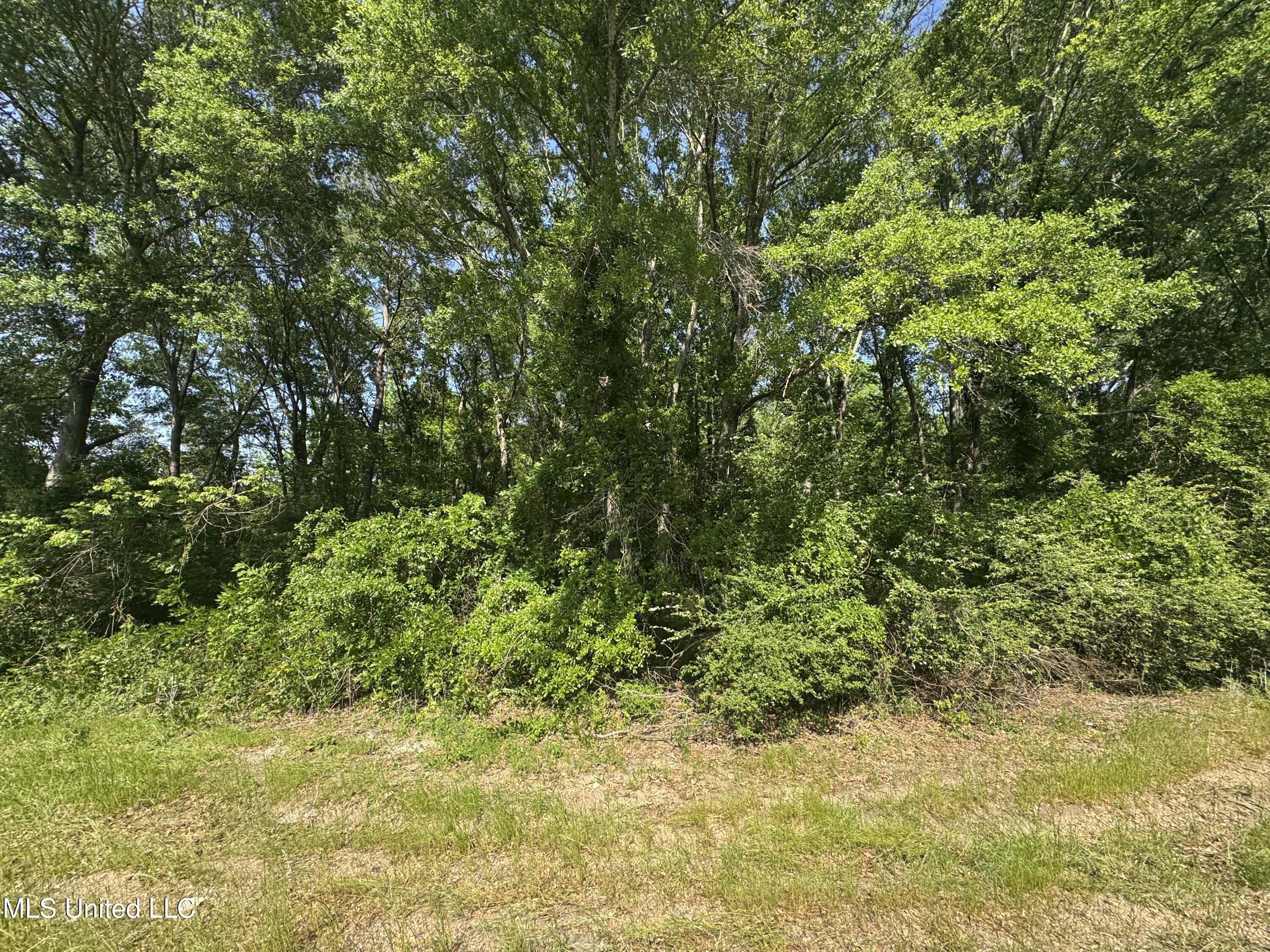 Old Hwy 471 Property Photo 5