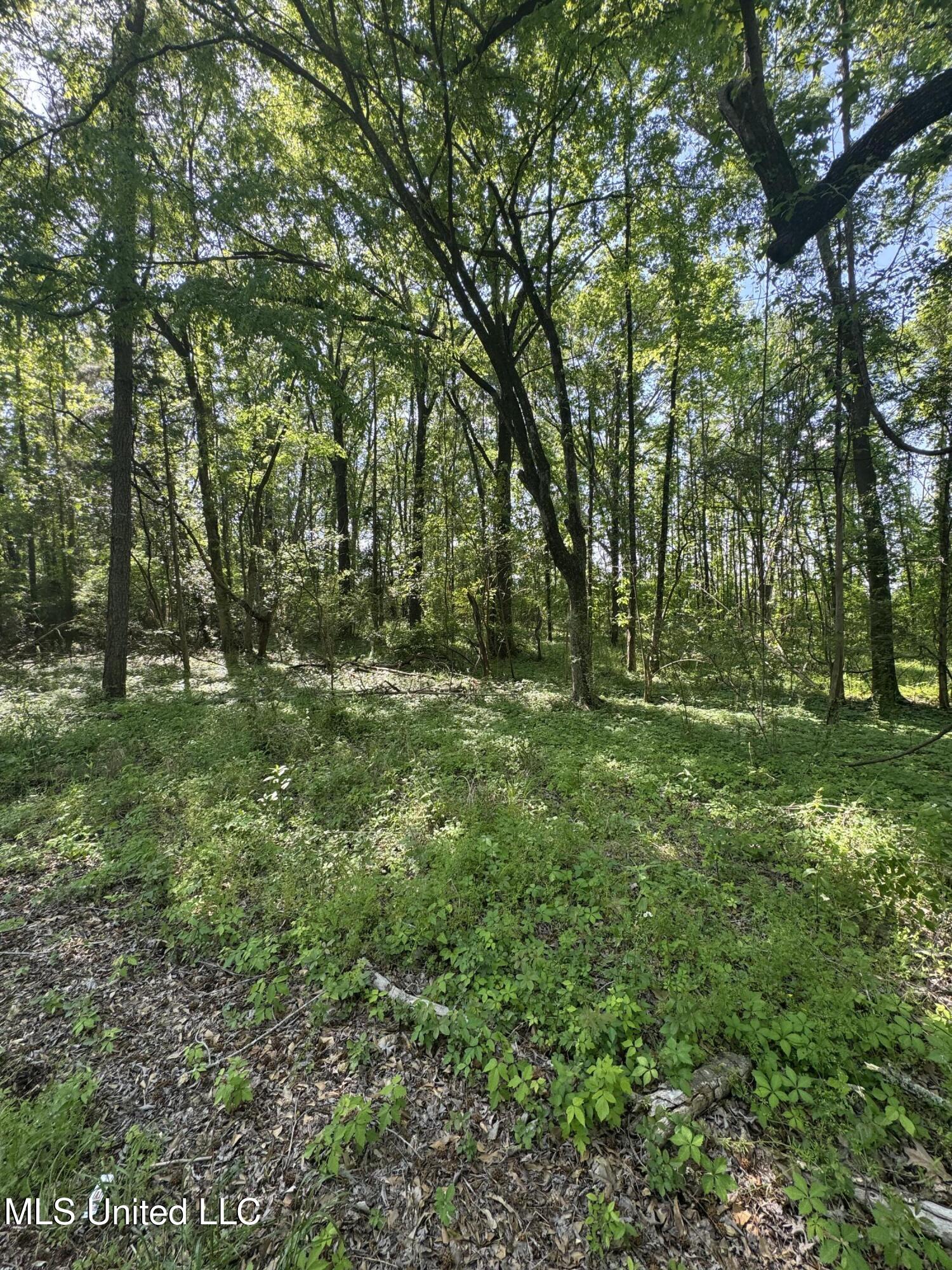 Old Hwy 471 Property Photo 7