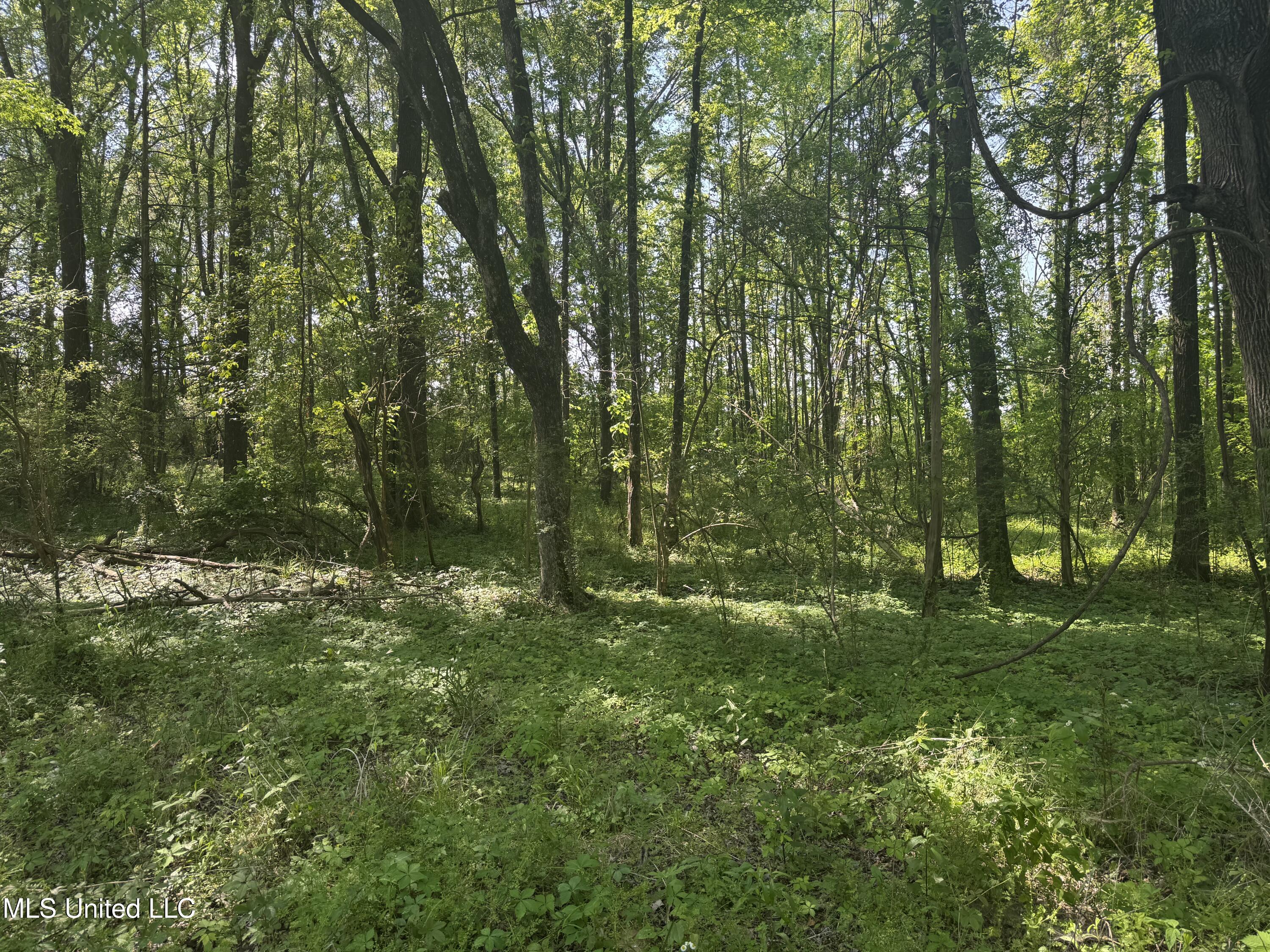 Old Hwy 471 Property Photo 8