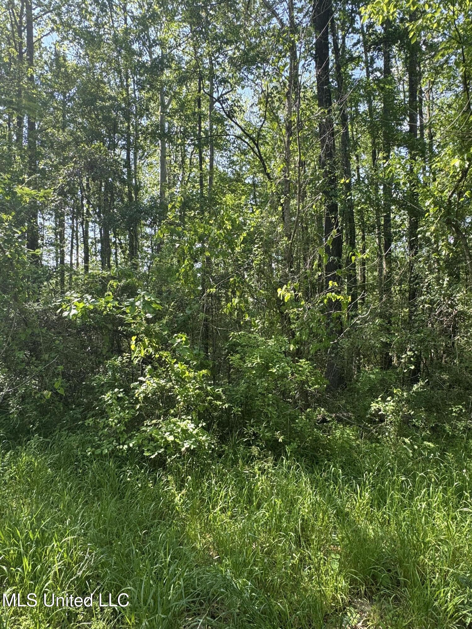 Old Hwy 471 Property Photo 9