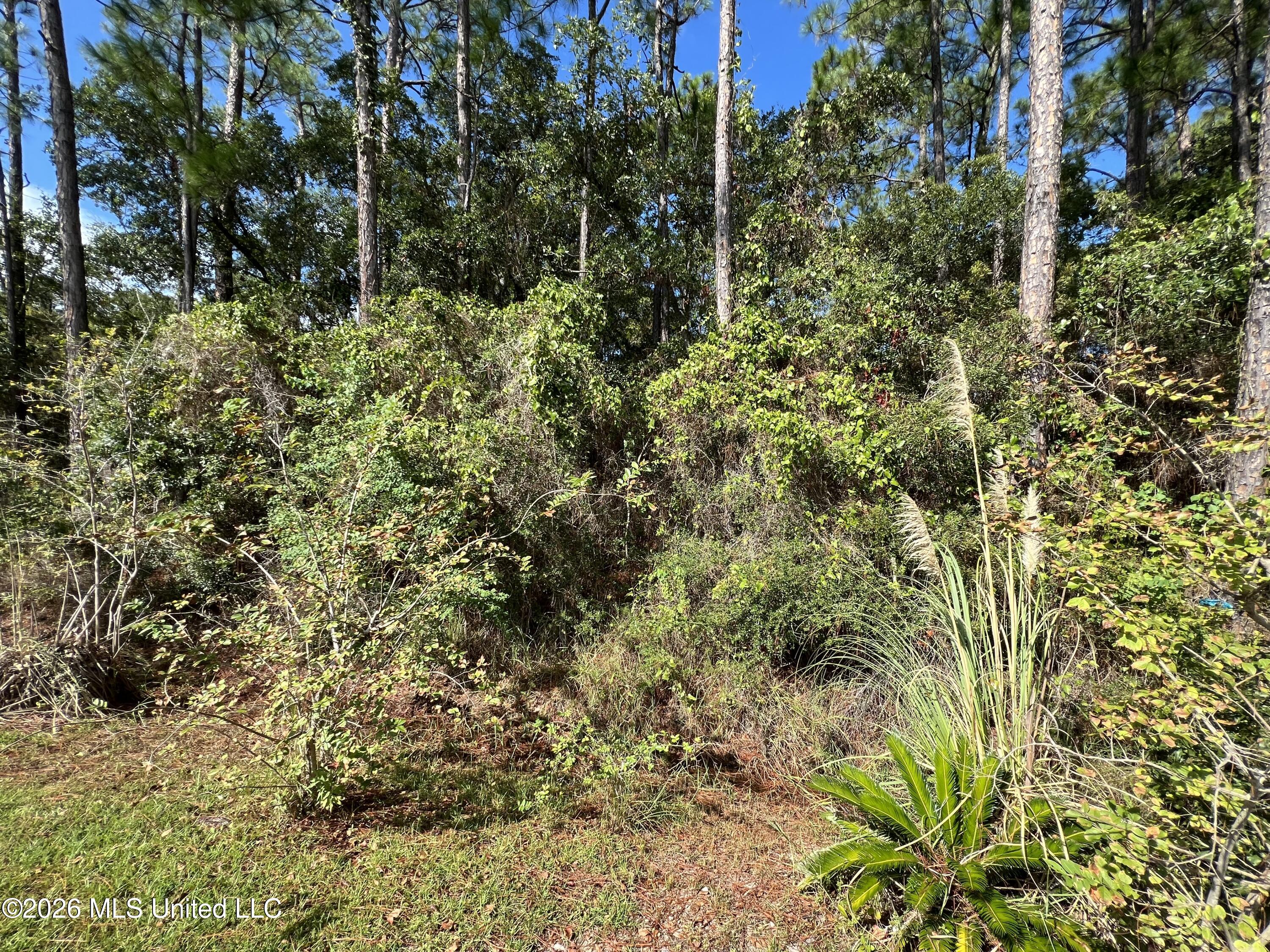 Pinewood Drive Property Photo 1