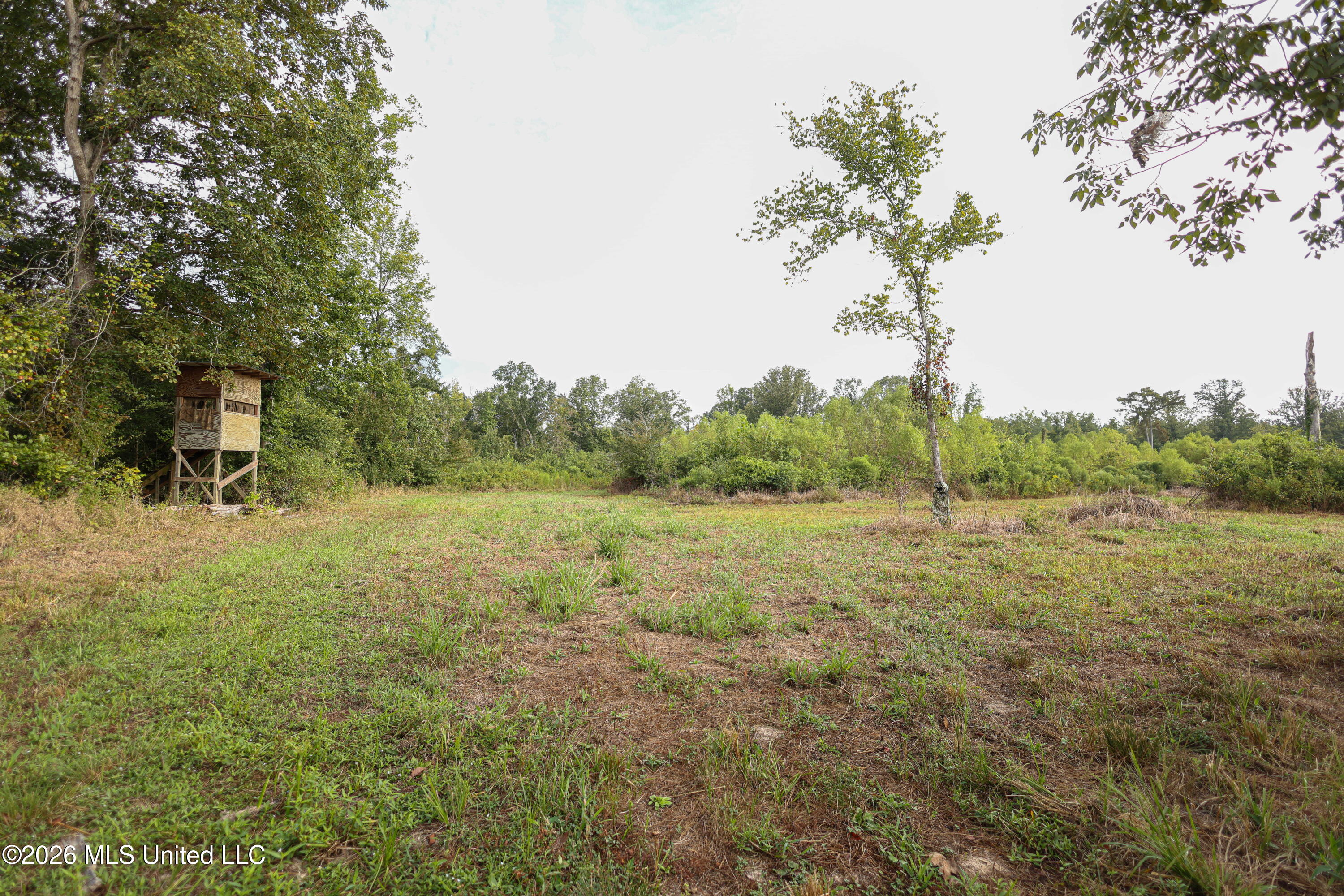 Cr 4001 Property Photo 7