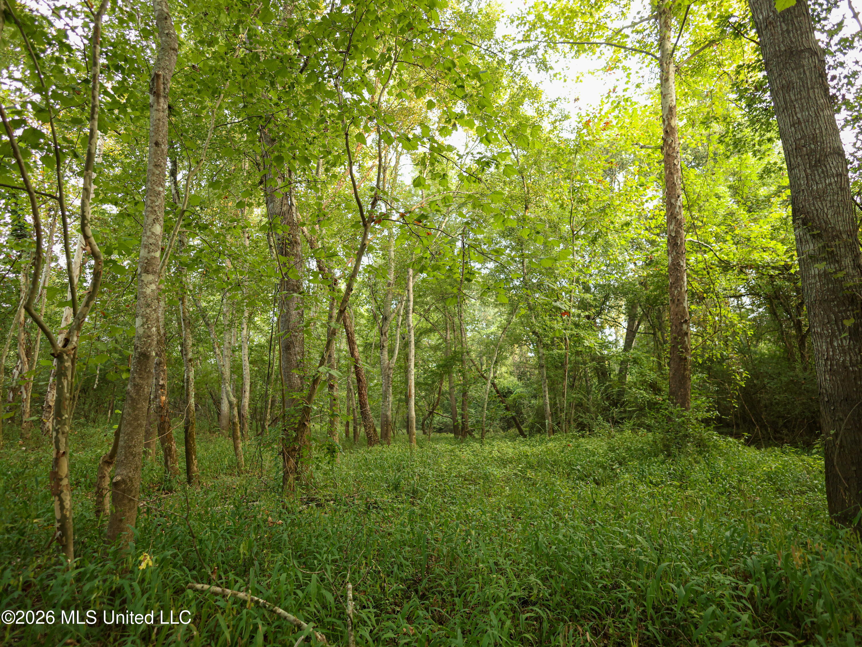 Cr 4001 Property Photo 13