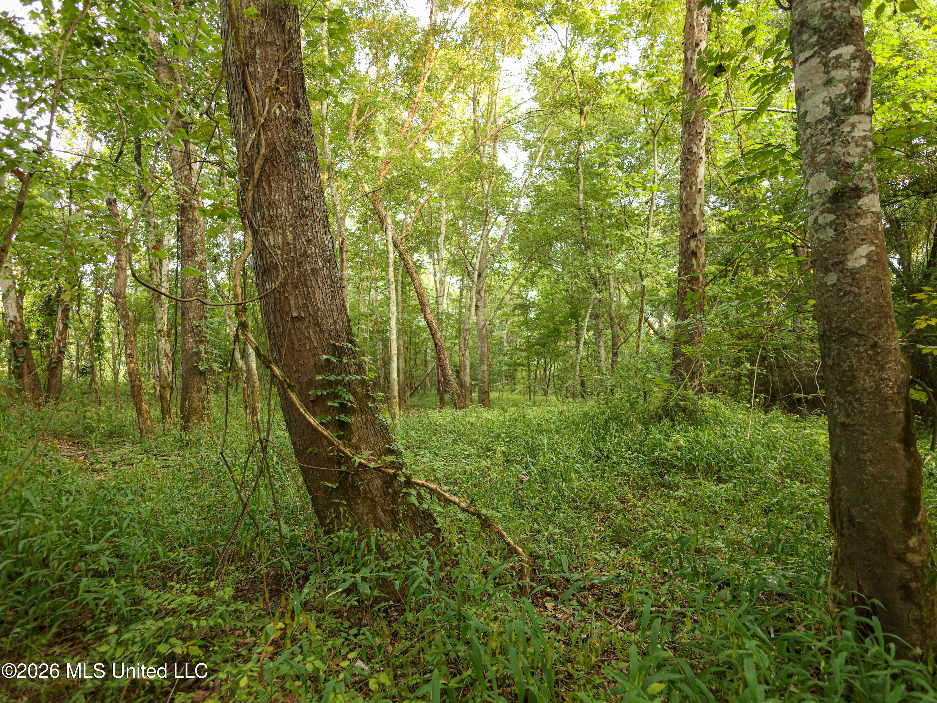 Cr 4001 Property Photo 14