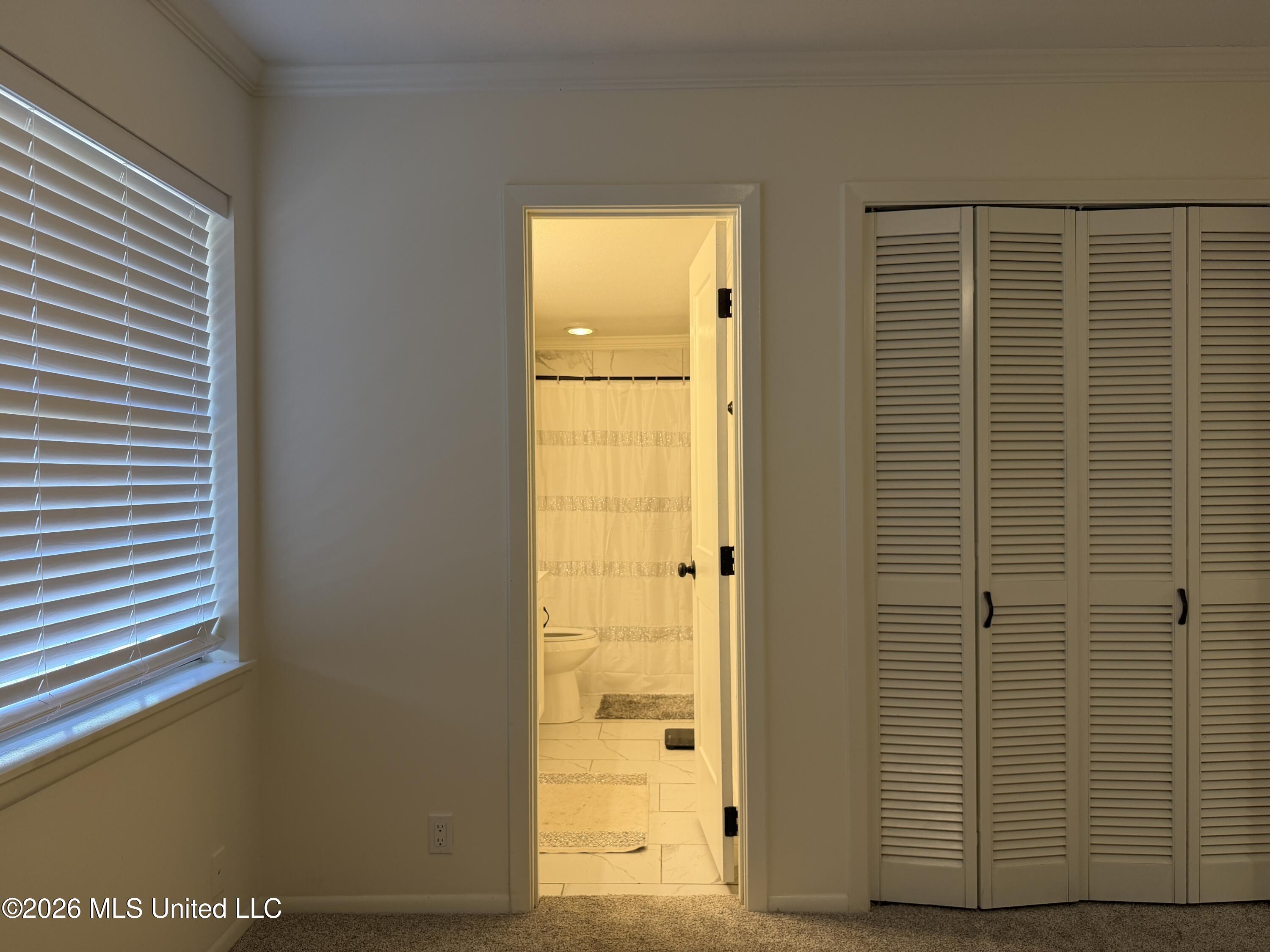 33 Pebble Hill Drive Property Photo 16