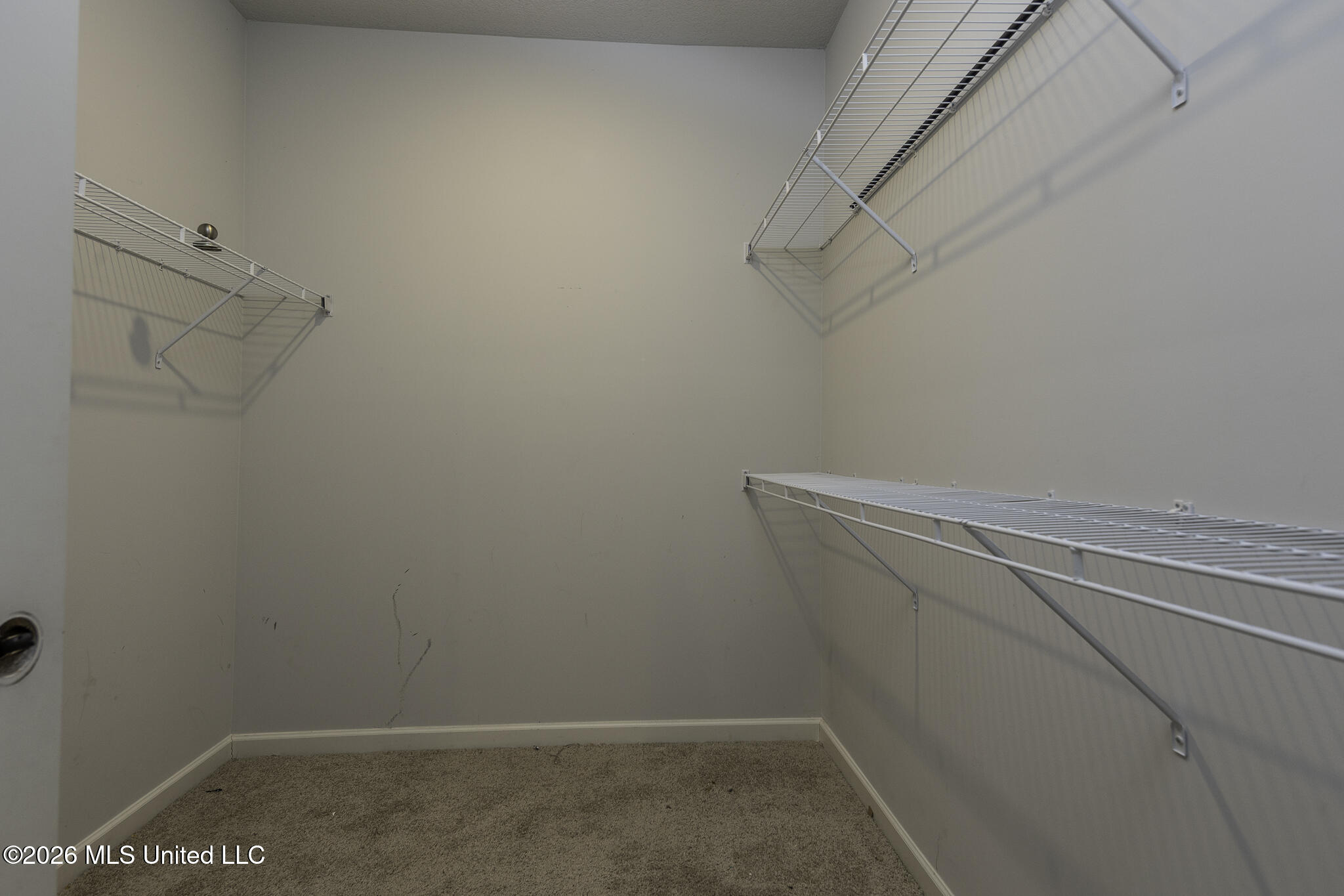 8781 Mary Frances Drive Property Photo 13