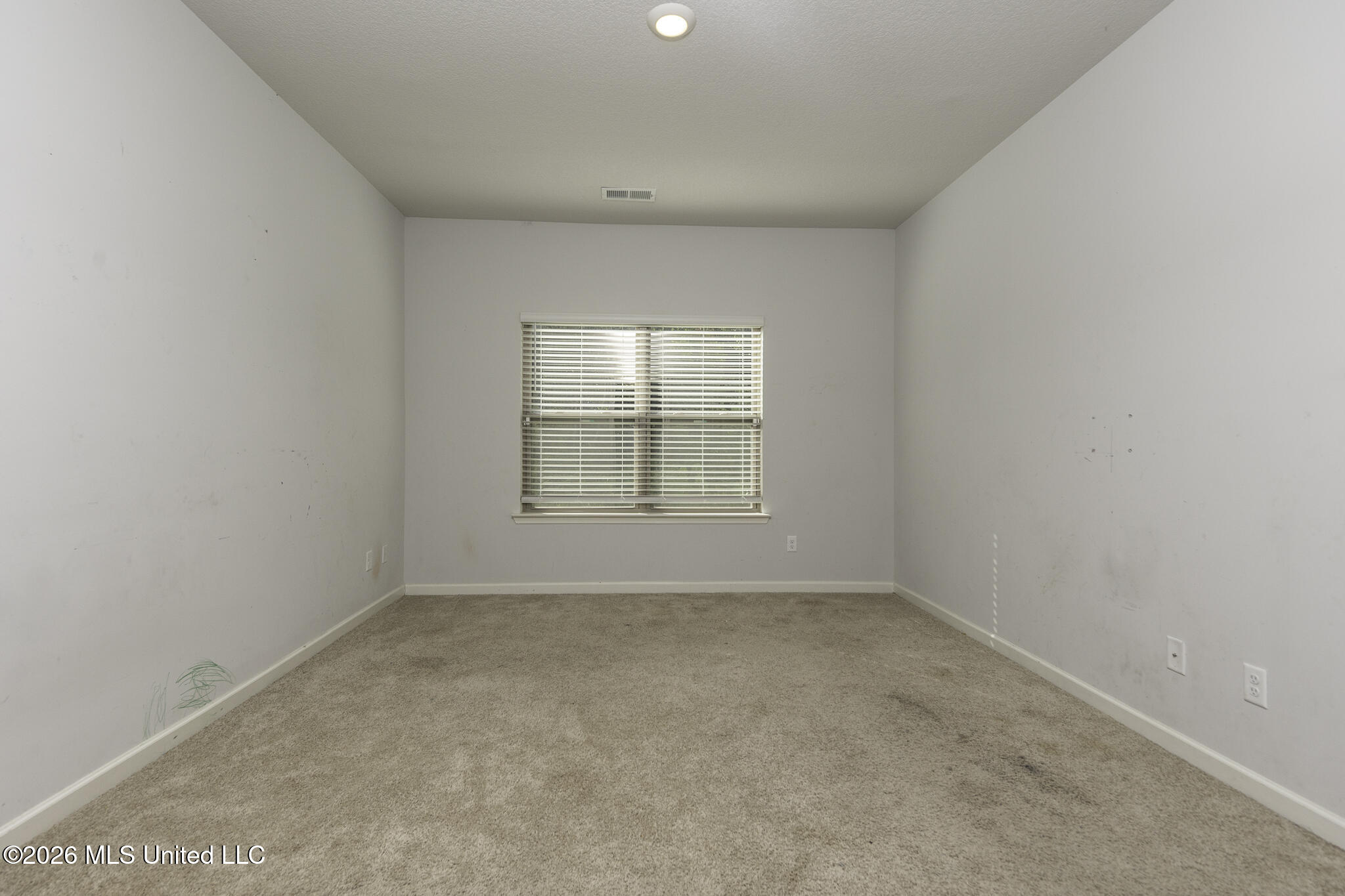 8781 Mary Frances Drive Property Photo 19