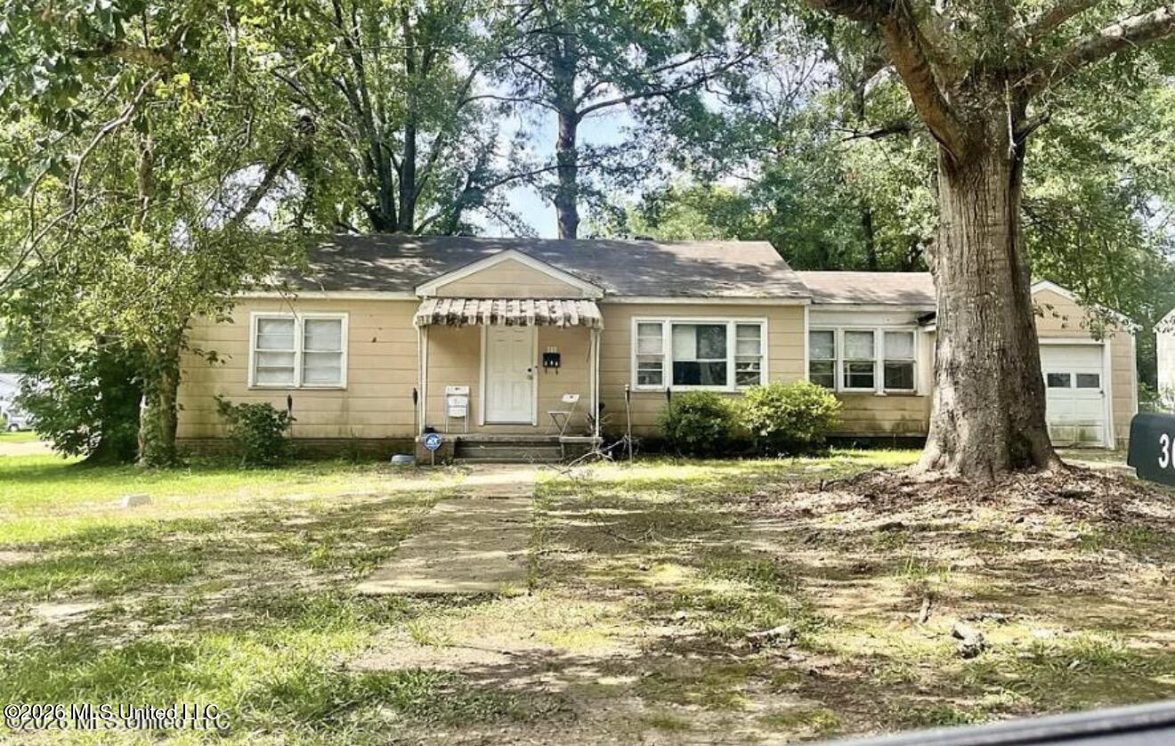 307 Albert Street Property Photo 13