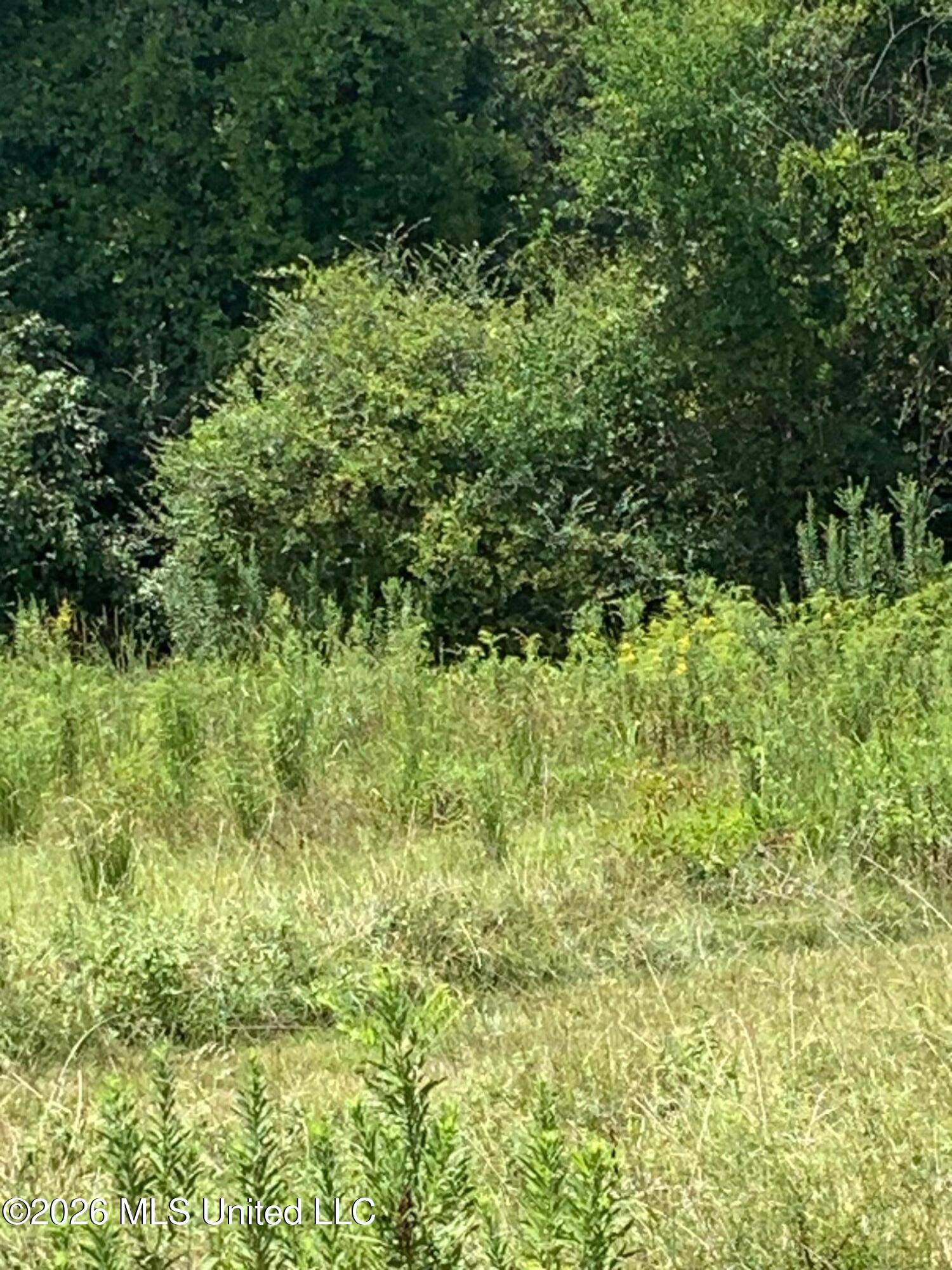 S Quinn Property Photo 3
