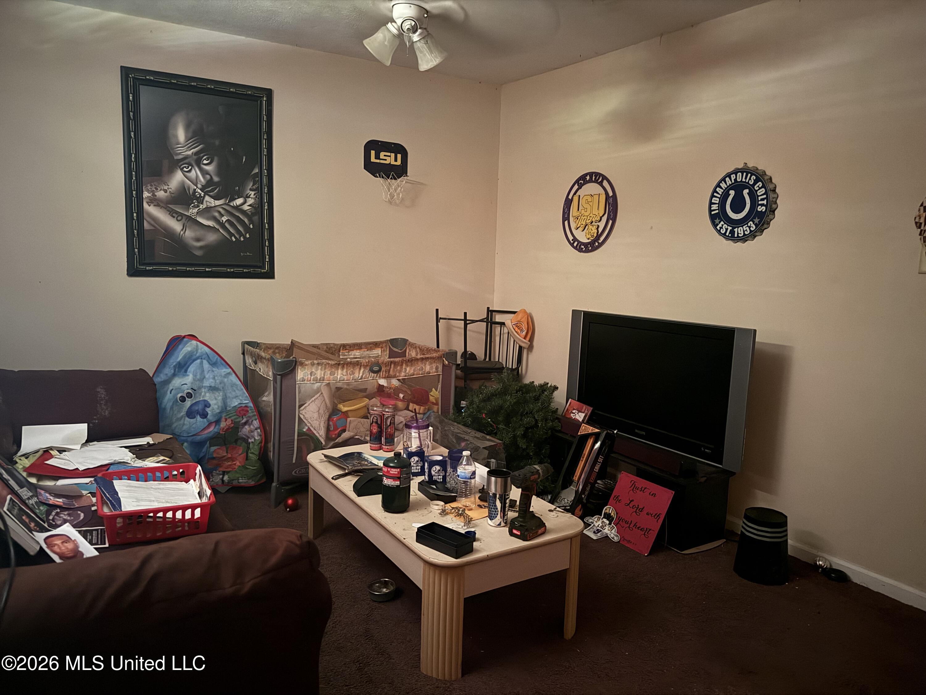 707 Hillmont Drive Property Photo 2