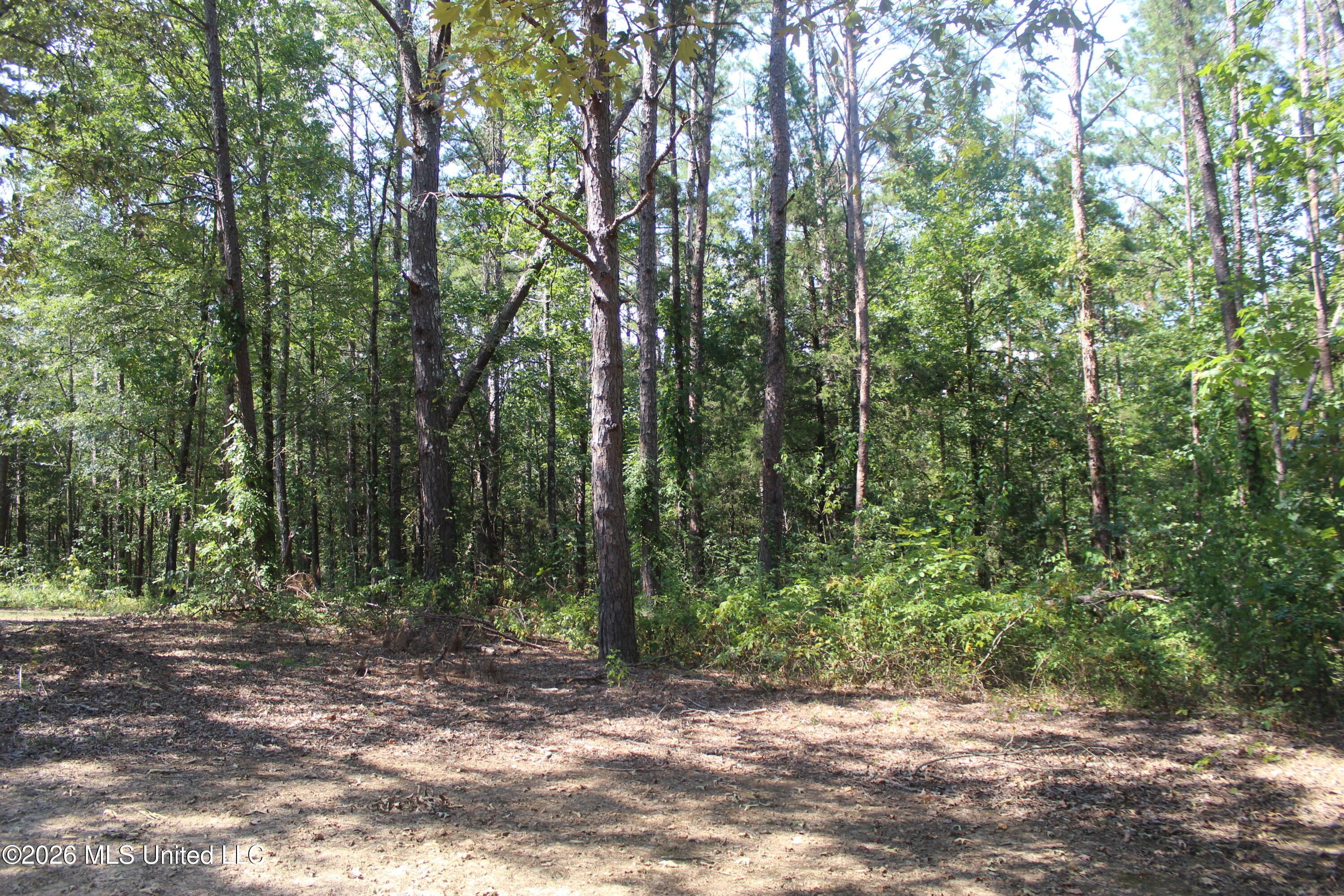 48 County Road 6071 Property Photo 4