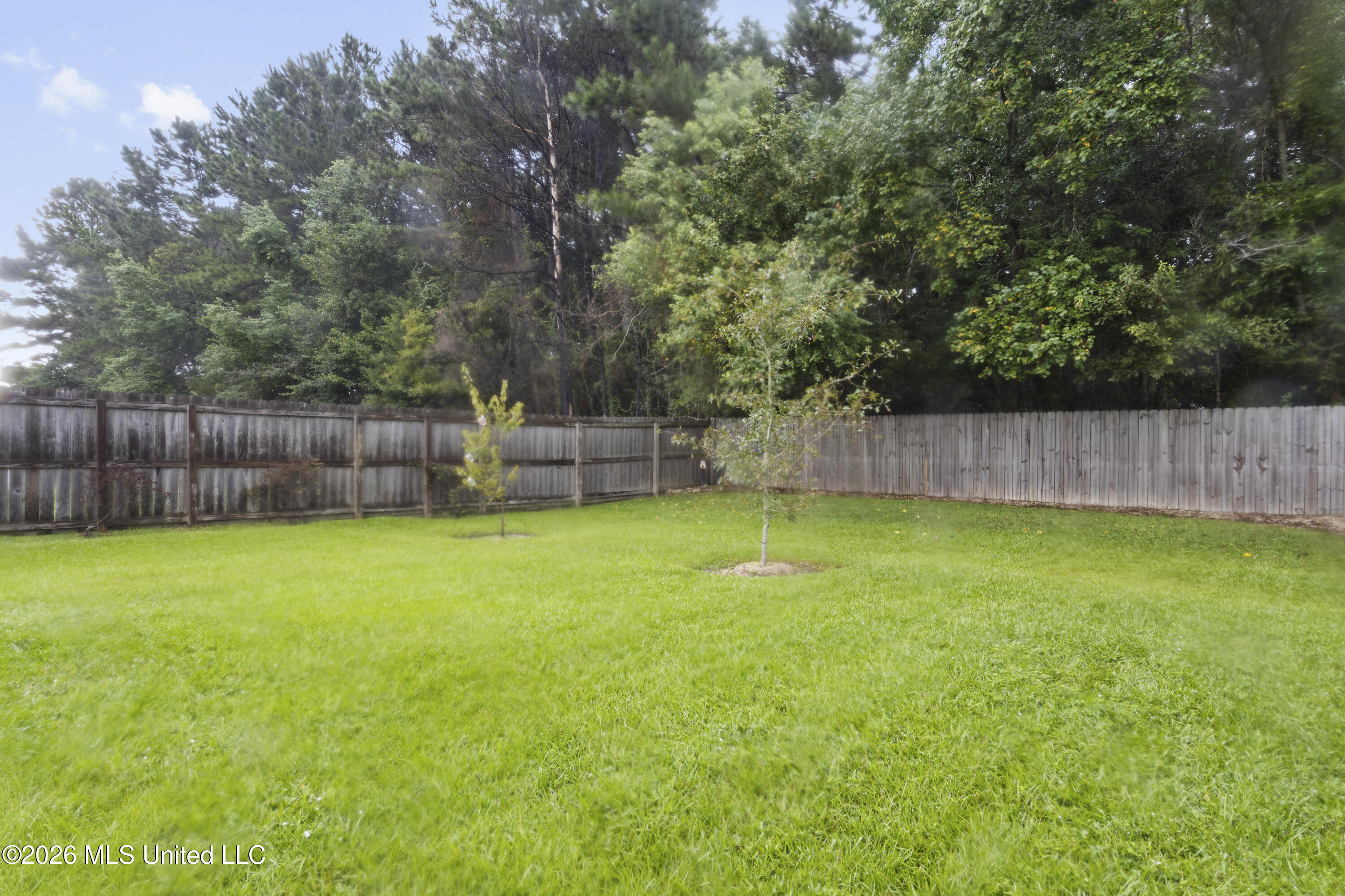 13052 Tracewood Drive Property Photo 26