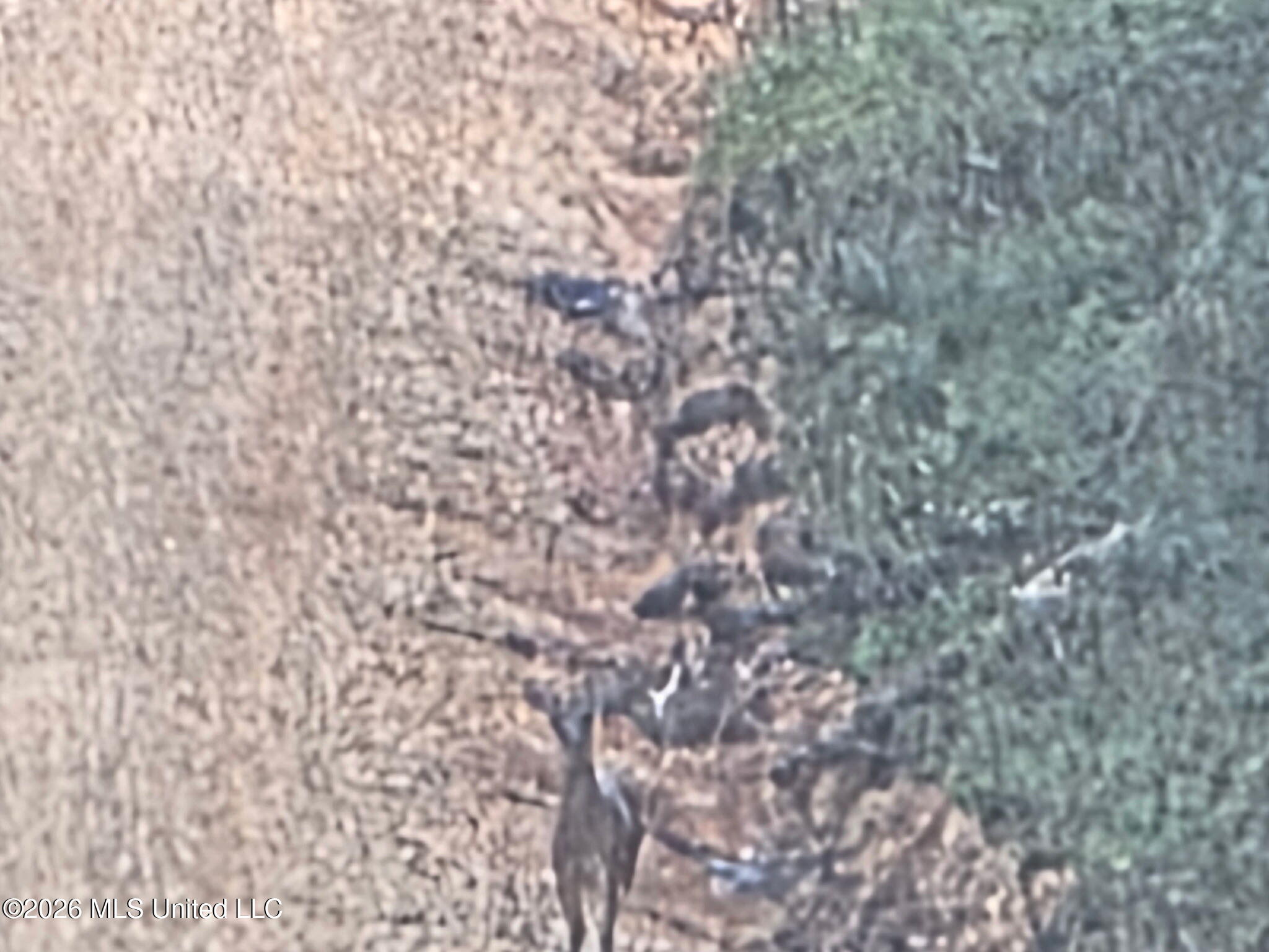 . Mt Gilead Property Photo 3
