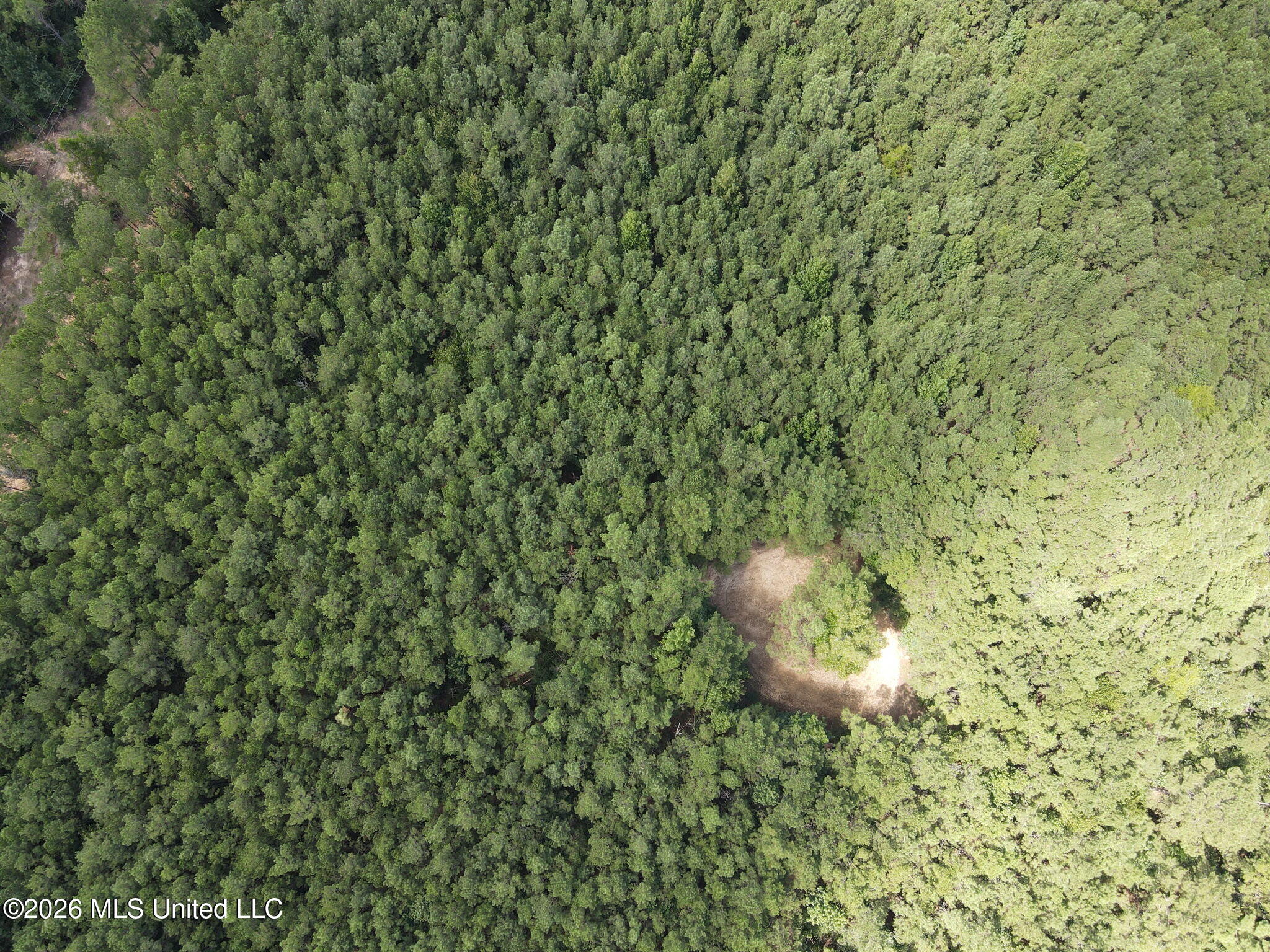 . Mt Gilead Property Photo 4