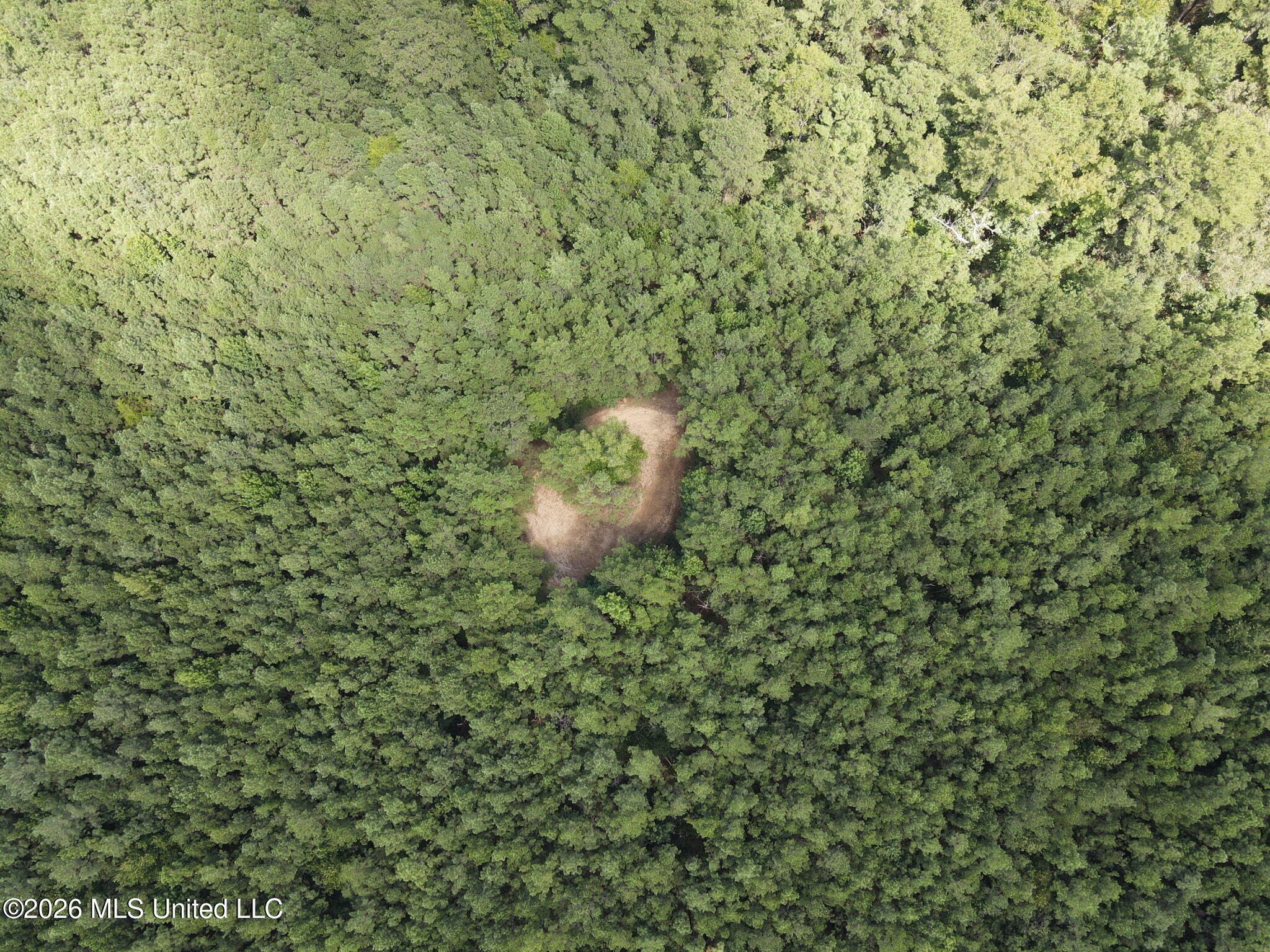 . Mt Gilead Property Photo 5
