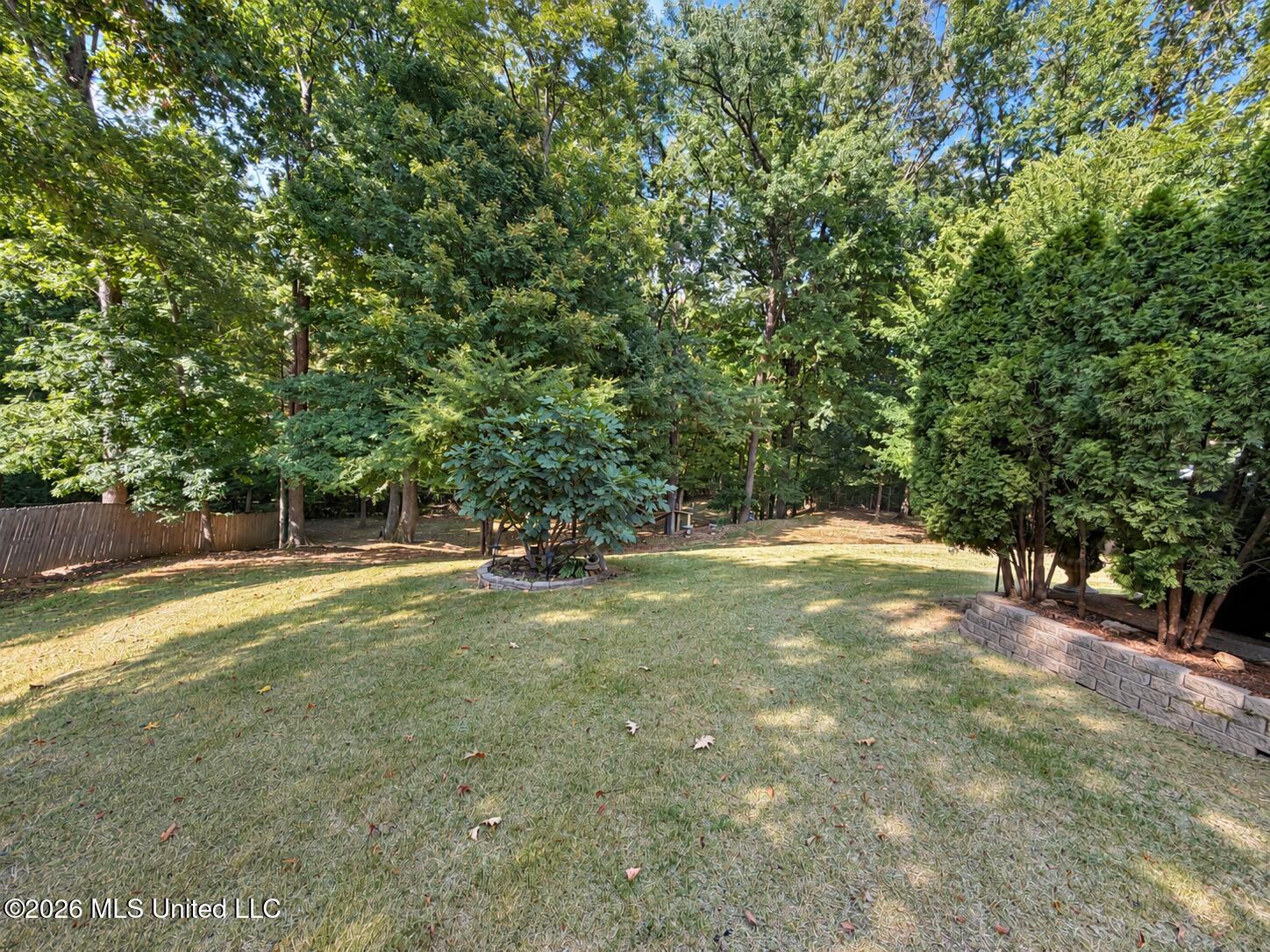 8036 Betty Browning Pass Property Photo 29