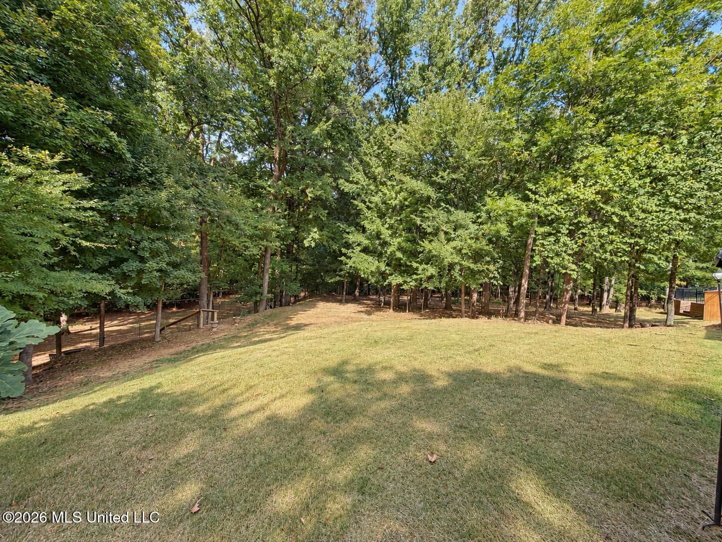8036 Betty Browning Pass Property Photo 30