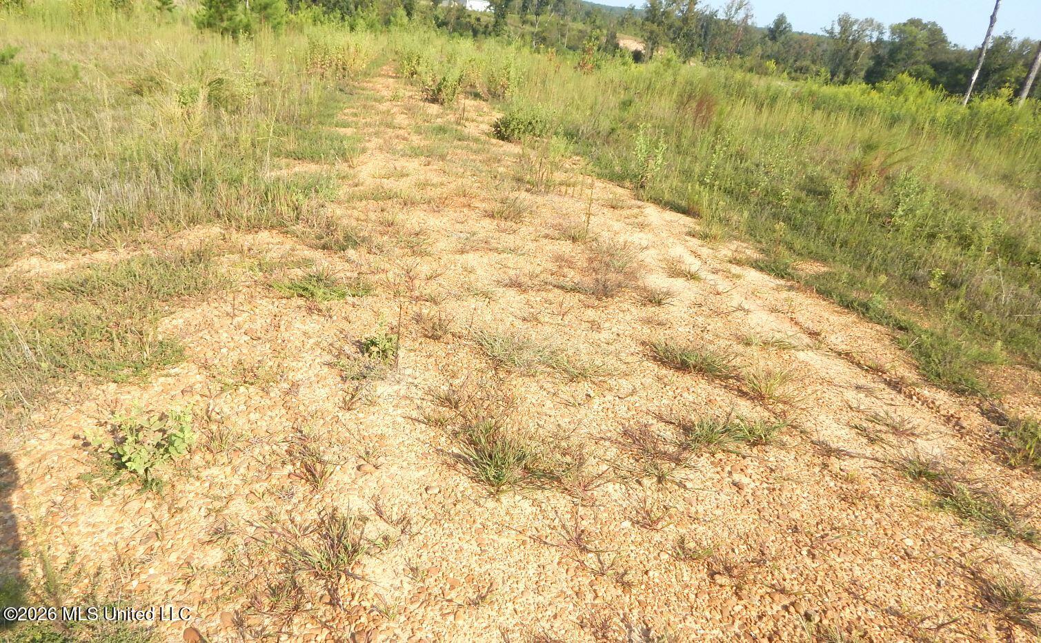 780 Storm Cove Property Photo 5