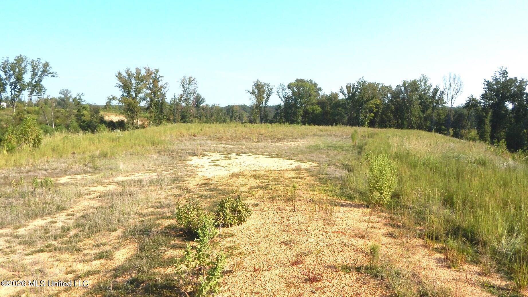 780 Storm Cove Property Photo 6