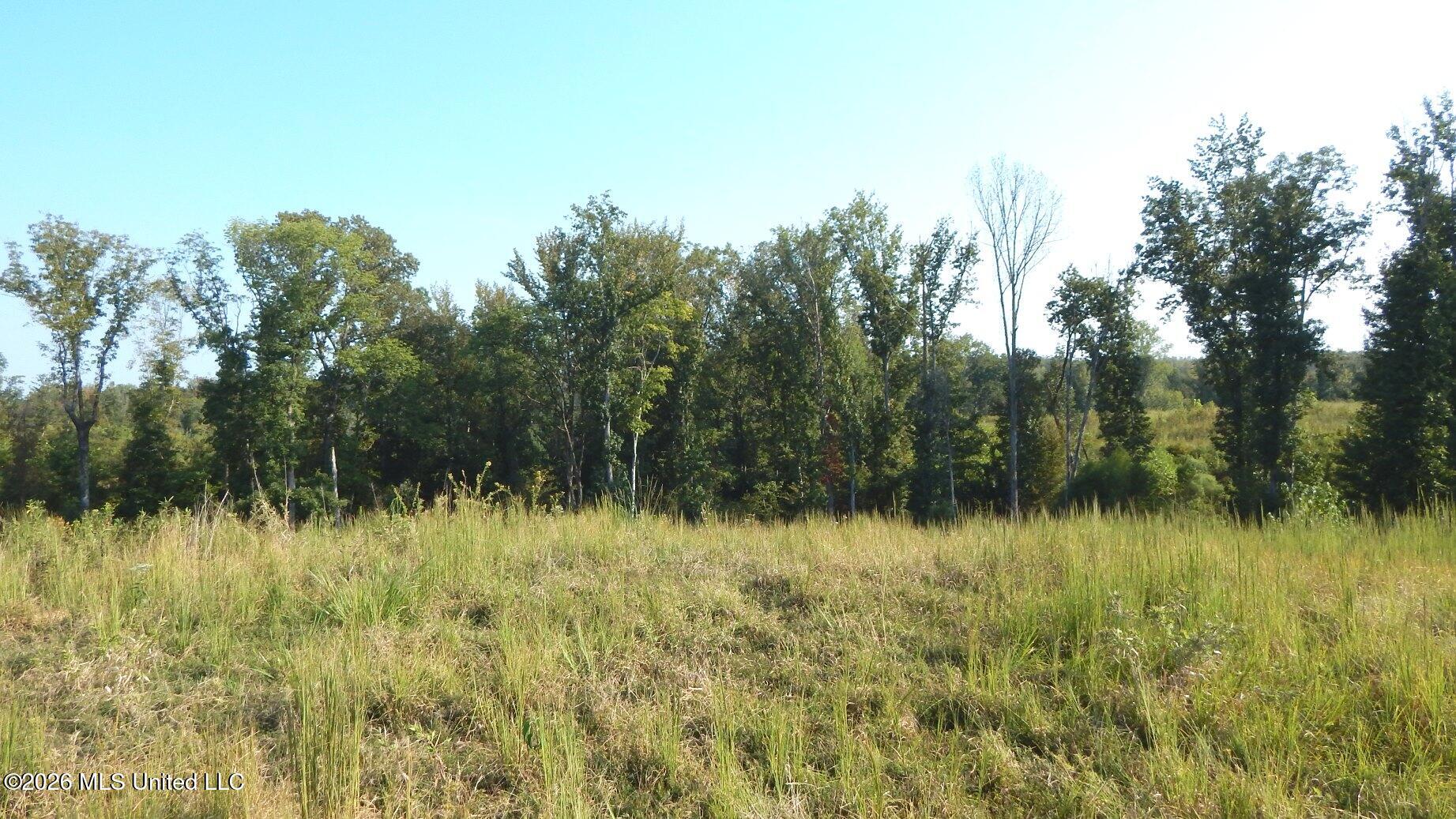 780 Storm Cove Property Photo 7