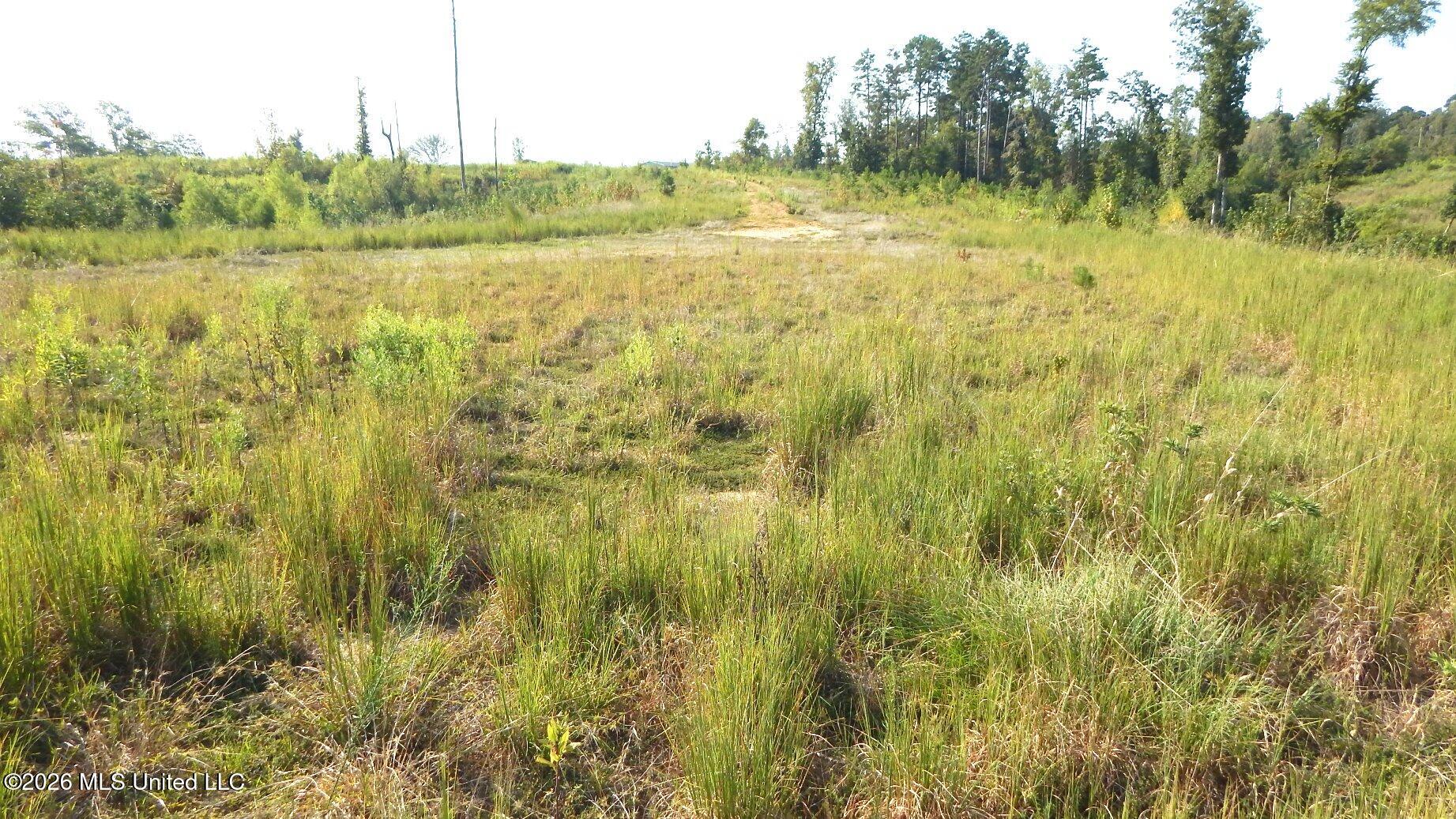 780 Storm Cove Property Photo 8