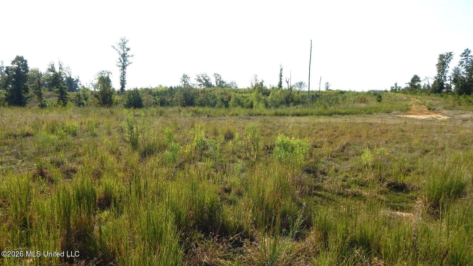780 Storm Cove Property Photo 9