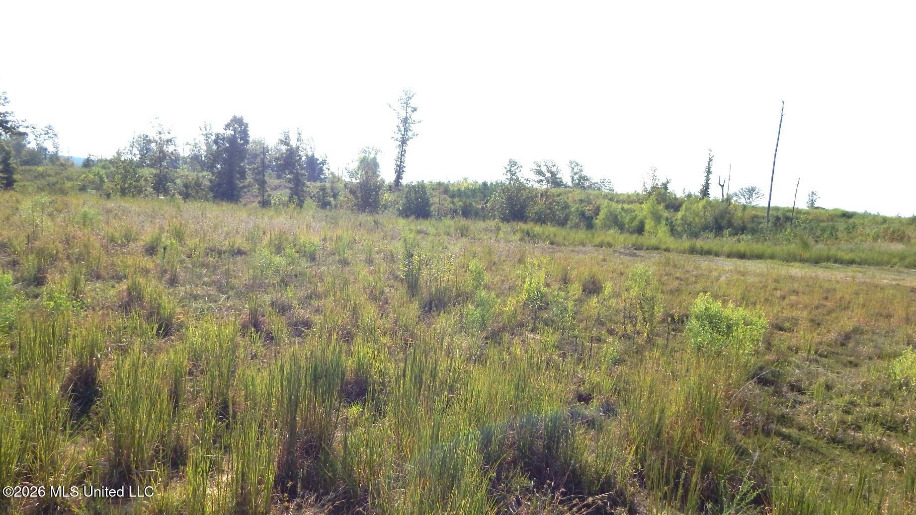 780 Storm Cove Property Photo 10